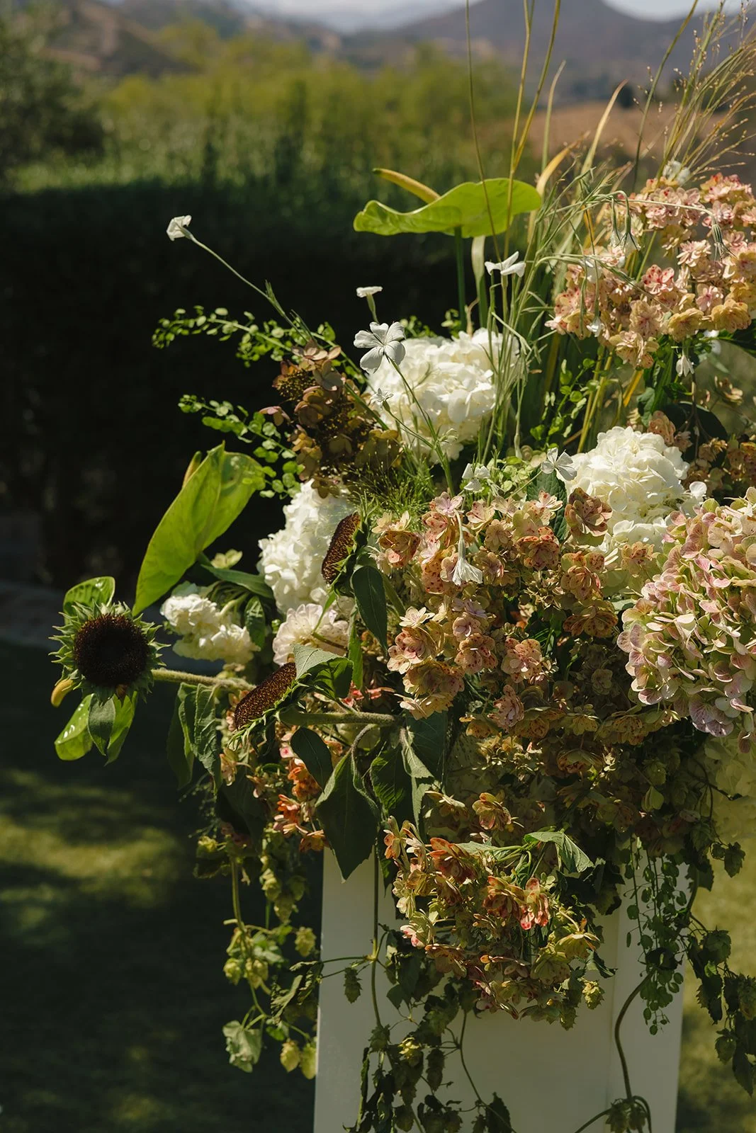 Wedding flowers from a Cielo Farms wedding