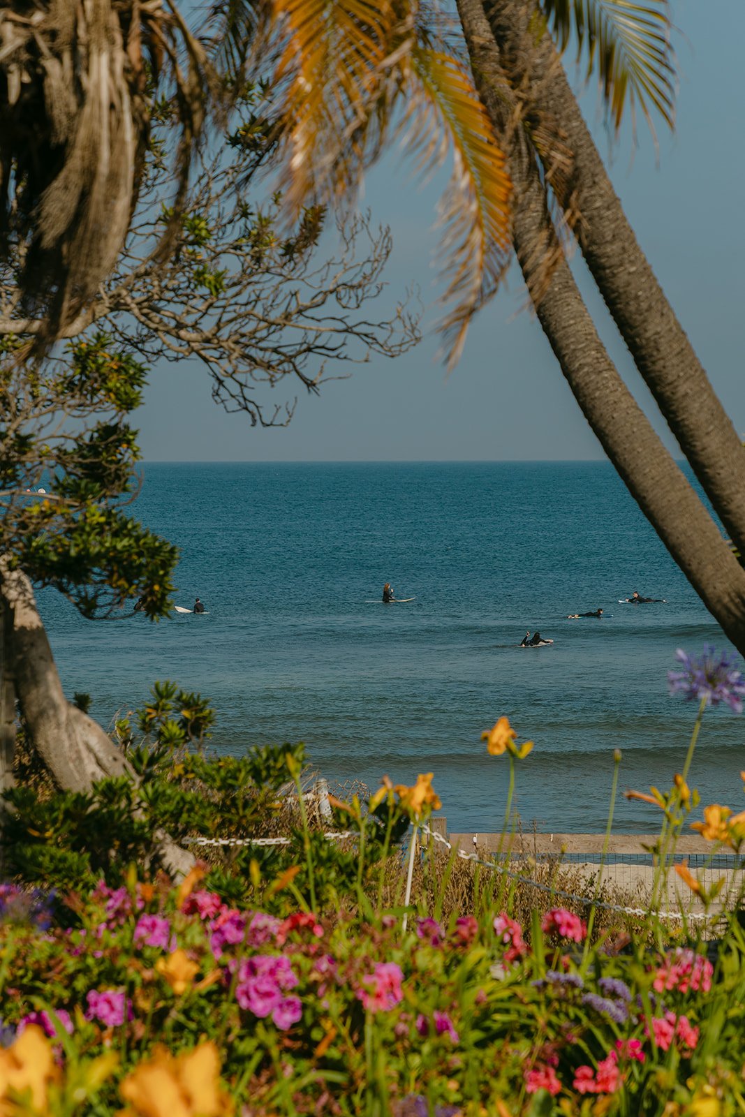 Views from a summer wedding at Adamson House