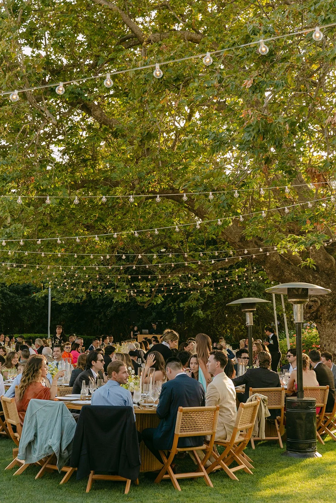 Guests at a wedding reception