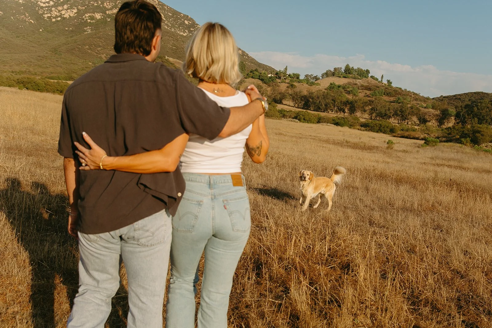 Couple standing in a golden field with their dog, arms wrapped around each other while overlooking the mountains during golden hour.