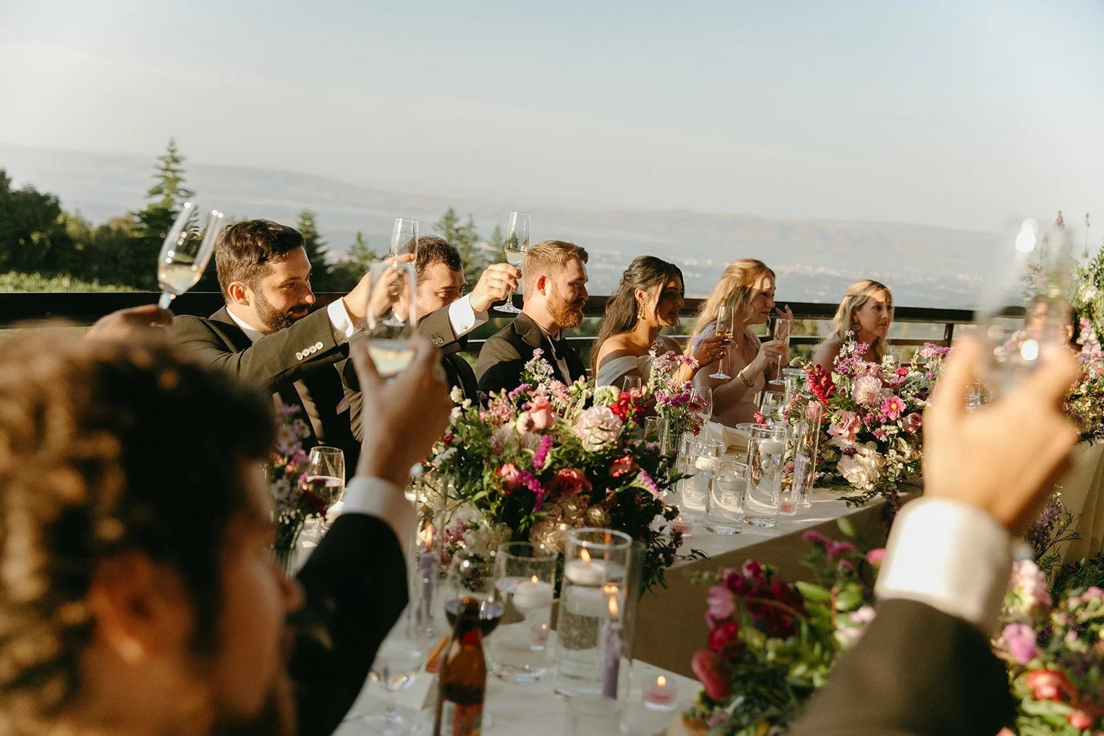 wedding guests doing a toast during a reception