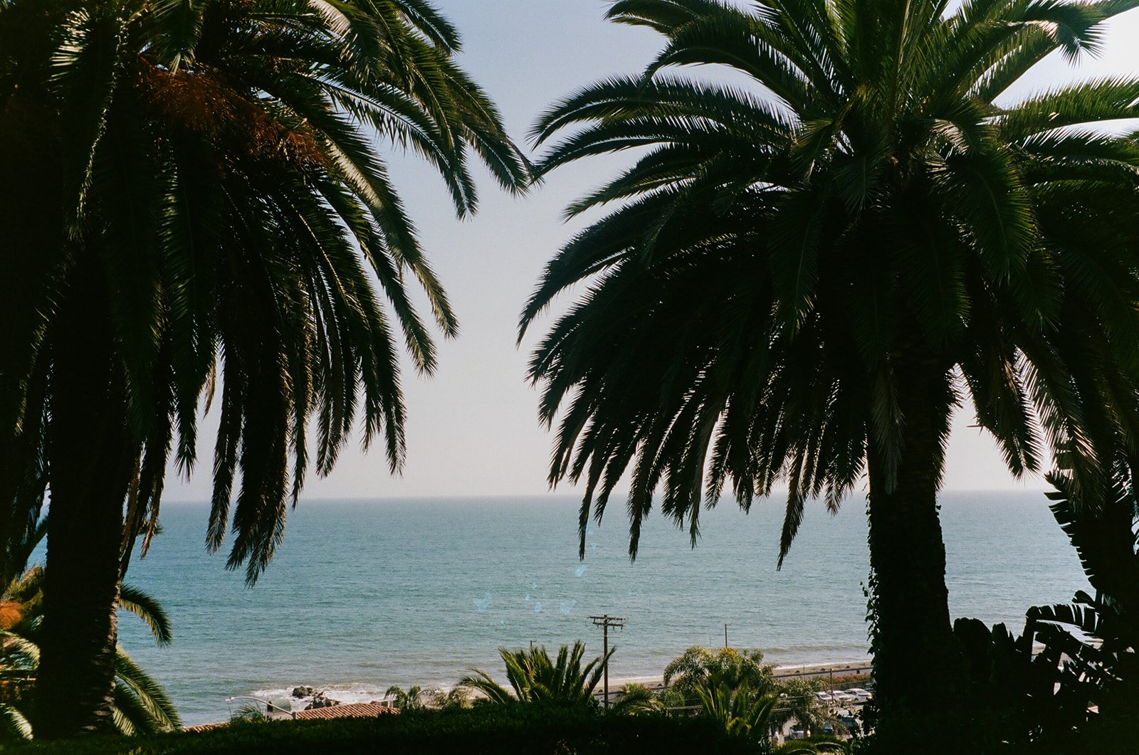 A beach wedding in Malibu