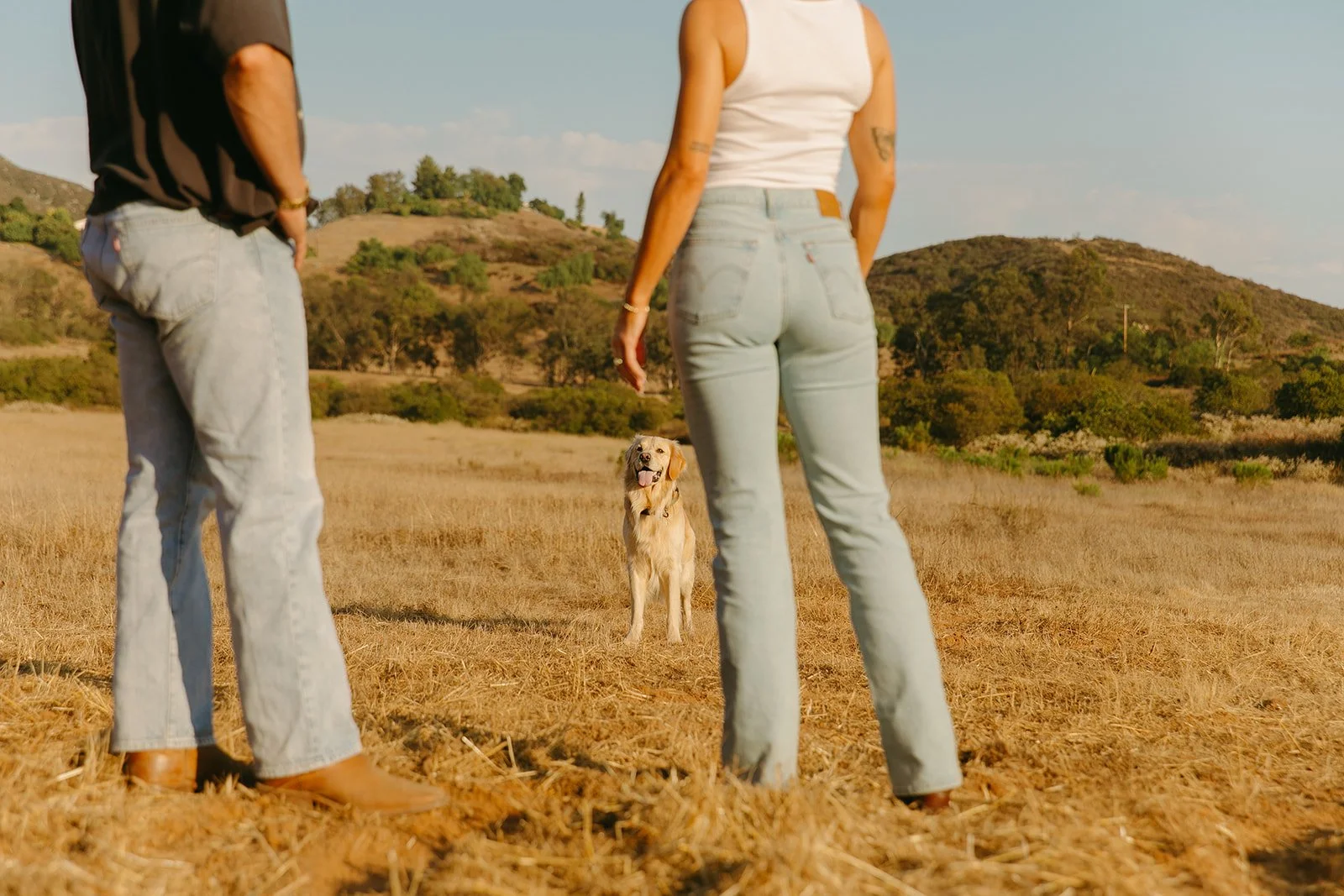 Rear view of the couple standing in a golden field facing their dog, capturing a relaxed, lifestyle engagement moment.