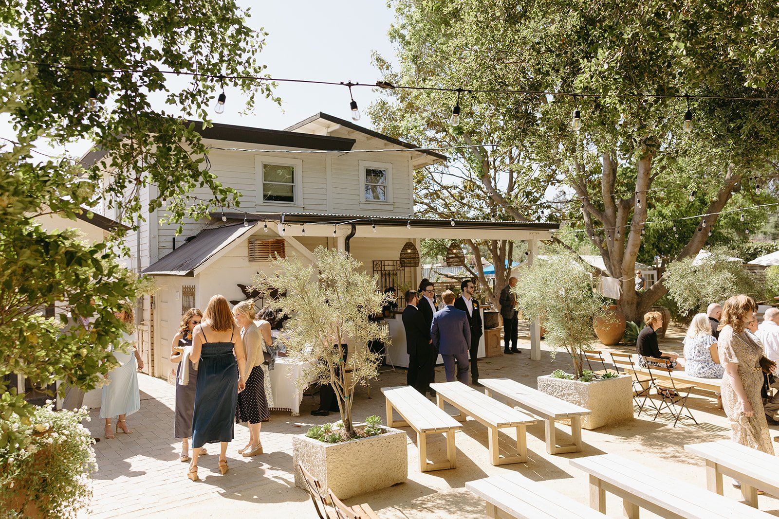 Small wedding ideas showing guests at a wedding cocktail hour