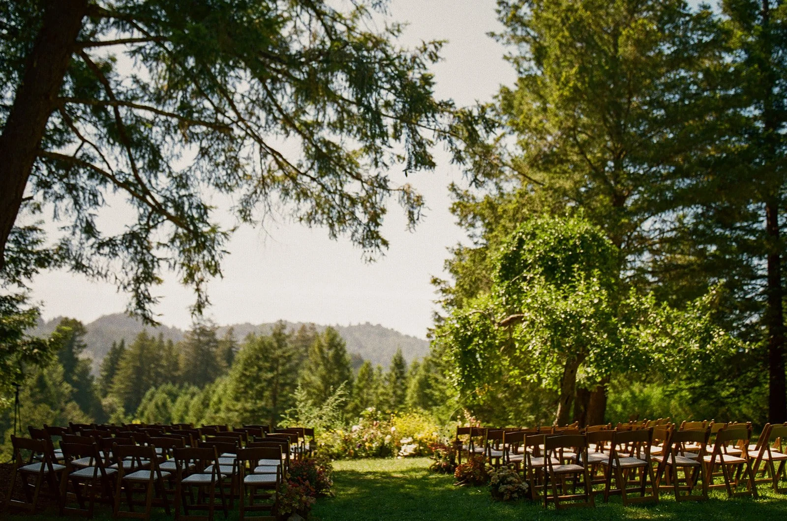 A garden wedding ceremony setup outdoors