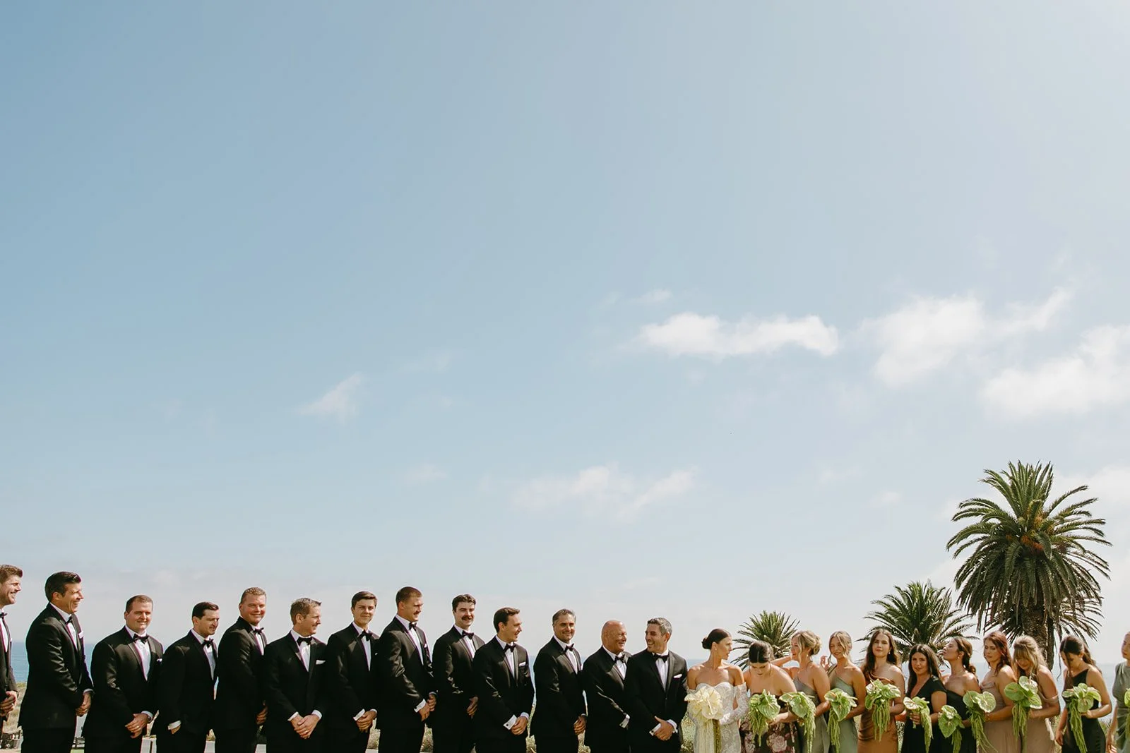 A photo of a wedding party