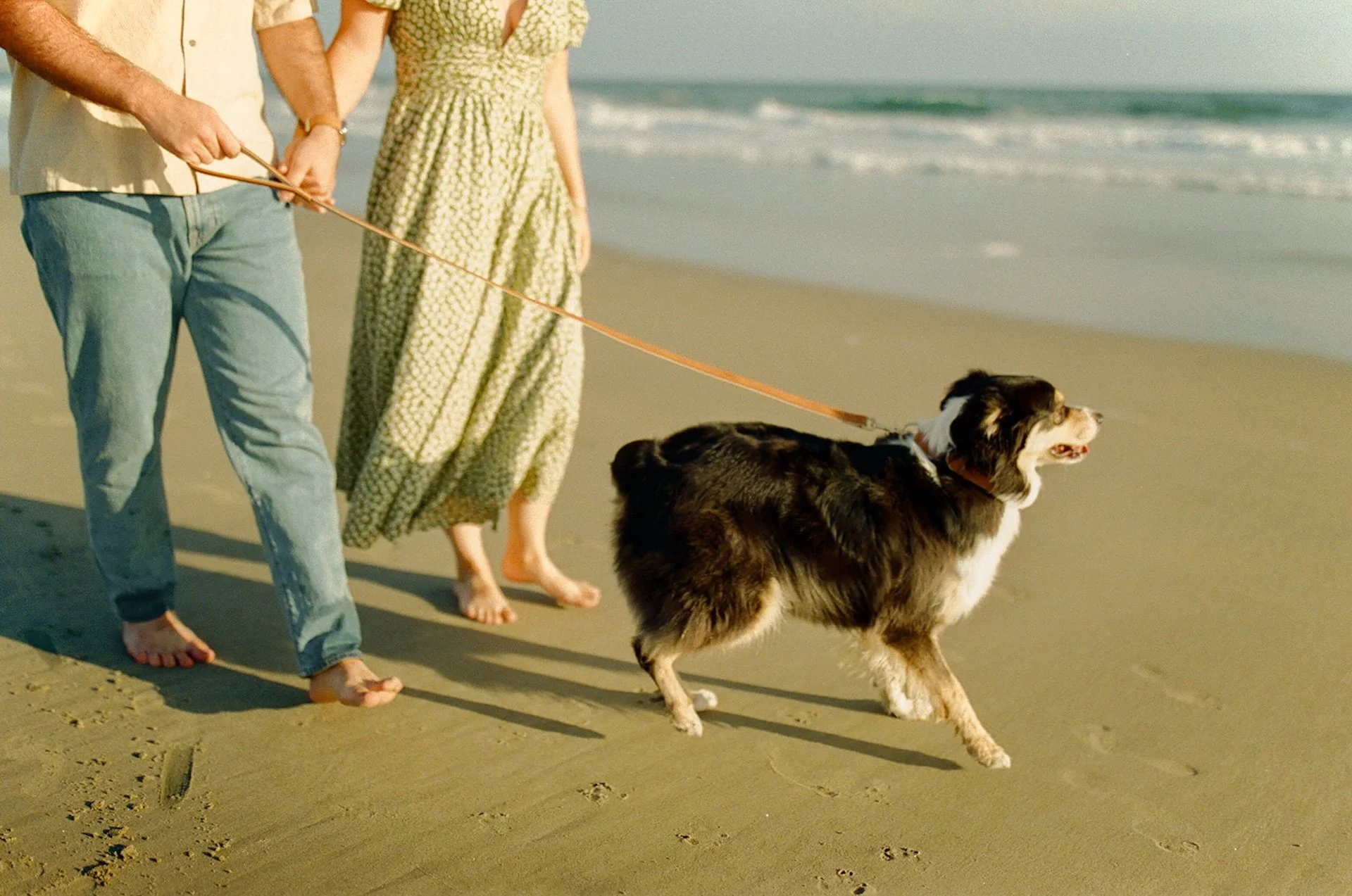 A detail photo of a couple walking hand in hand with their dog walking on a leash ahead of them during their newport beach engagement photos.