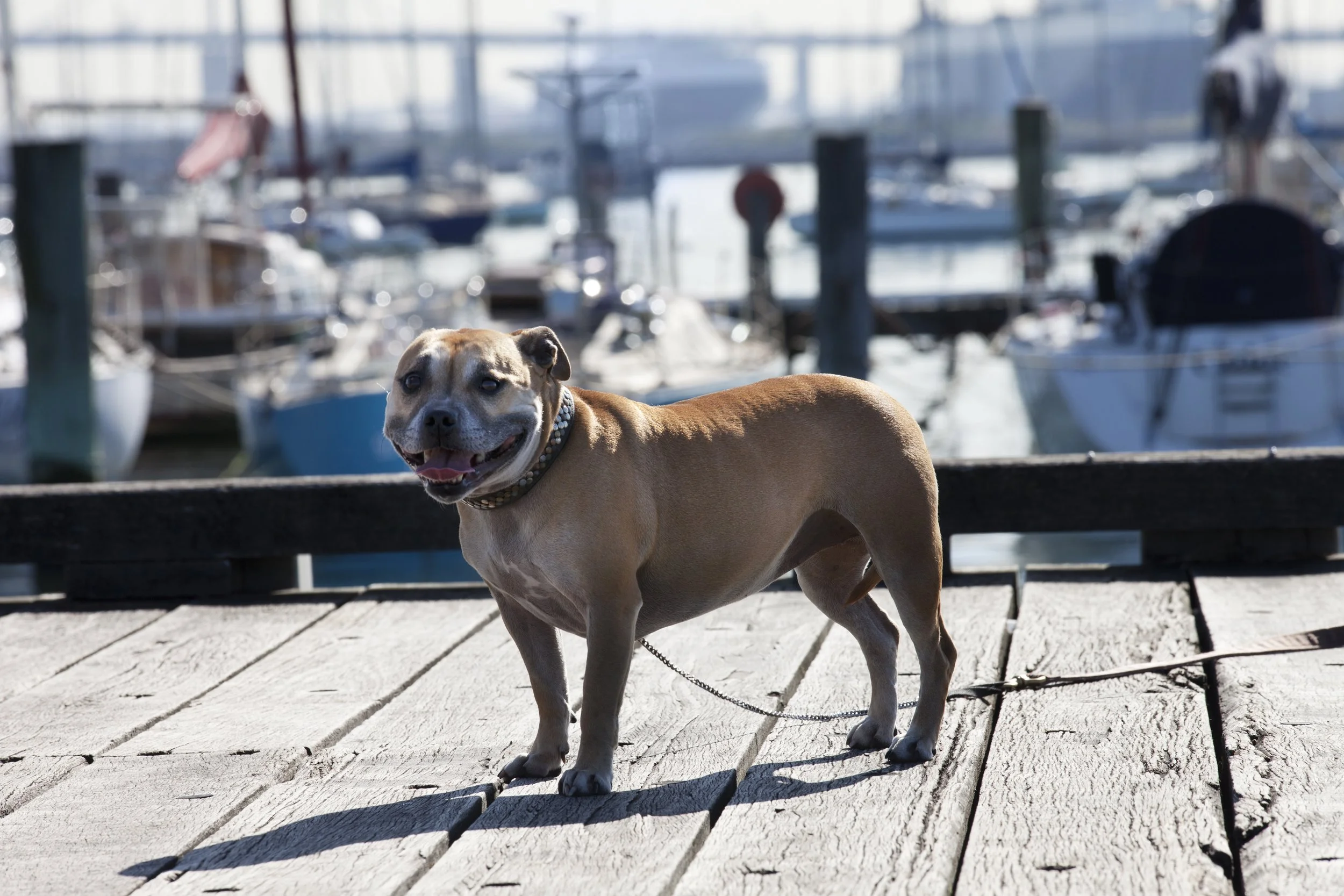 170504 Williams Reserve -103.jpg