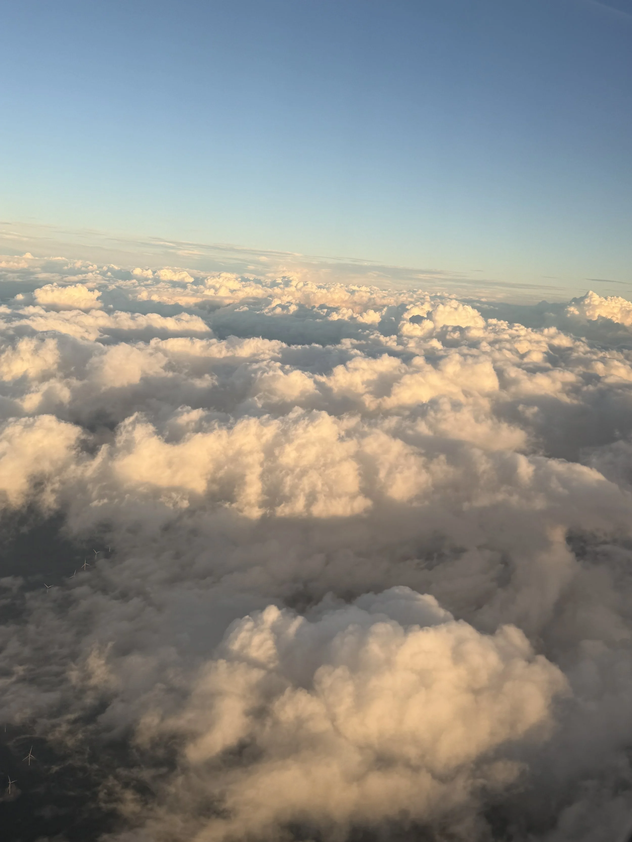 IMG_8843.jpg