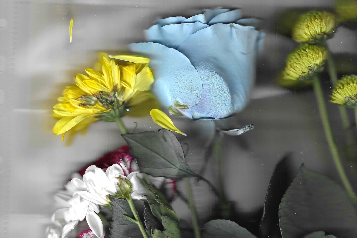 Why letting go might be one of my biggest lessons in this lifetime&nbsp;