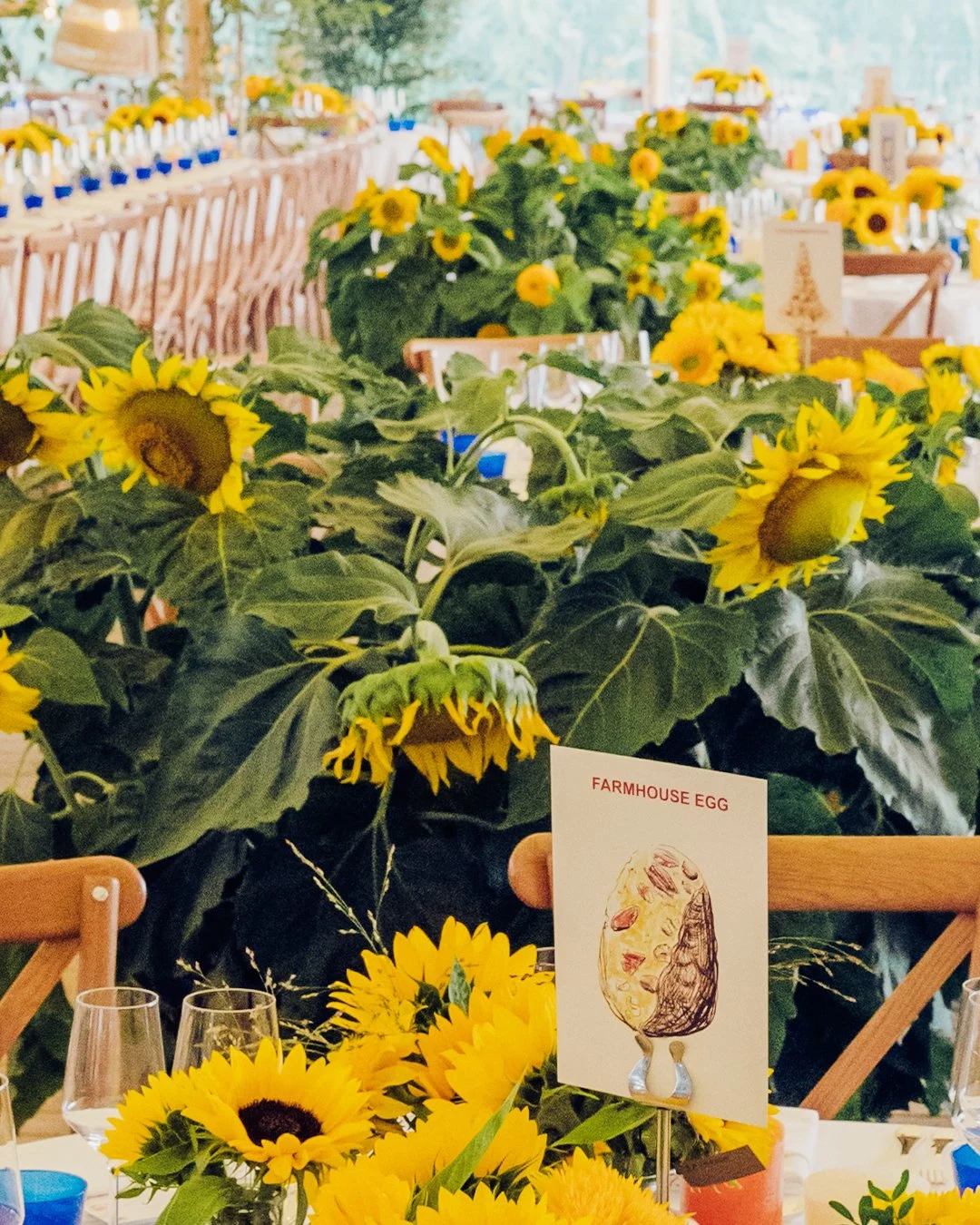 Pieter Lefevere - 3 trouwdrukwerk.jpg