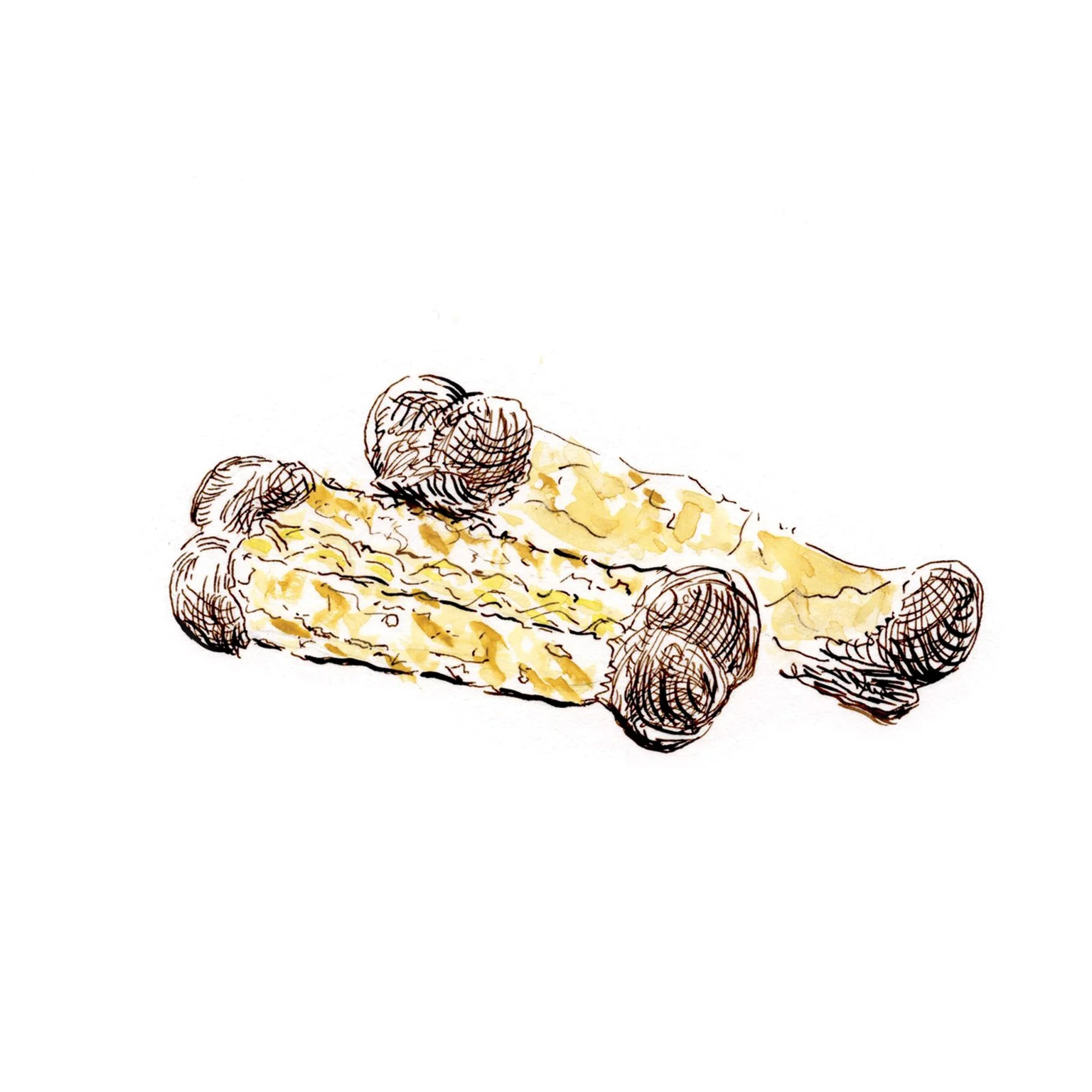 Hand-drawn illustration of a ginger root with brown and yellow tones on a white background.