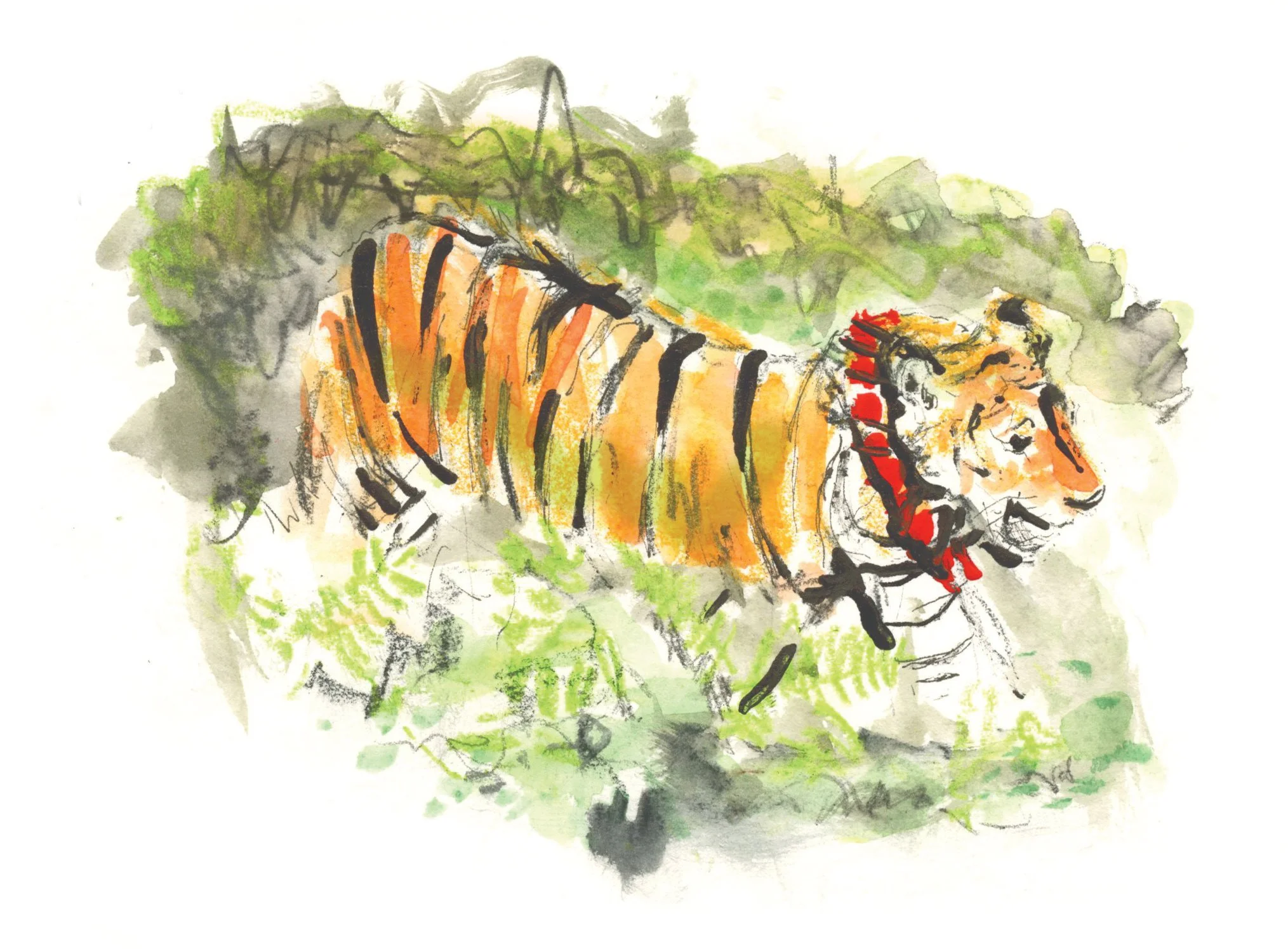 Pieter Lefevere - tiger.jpg