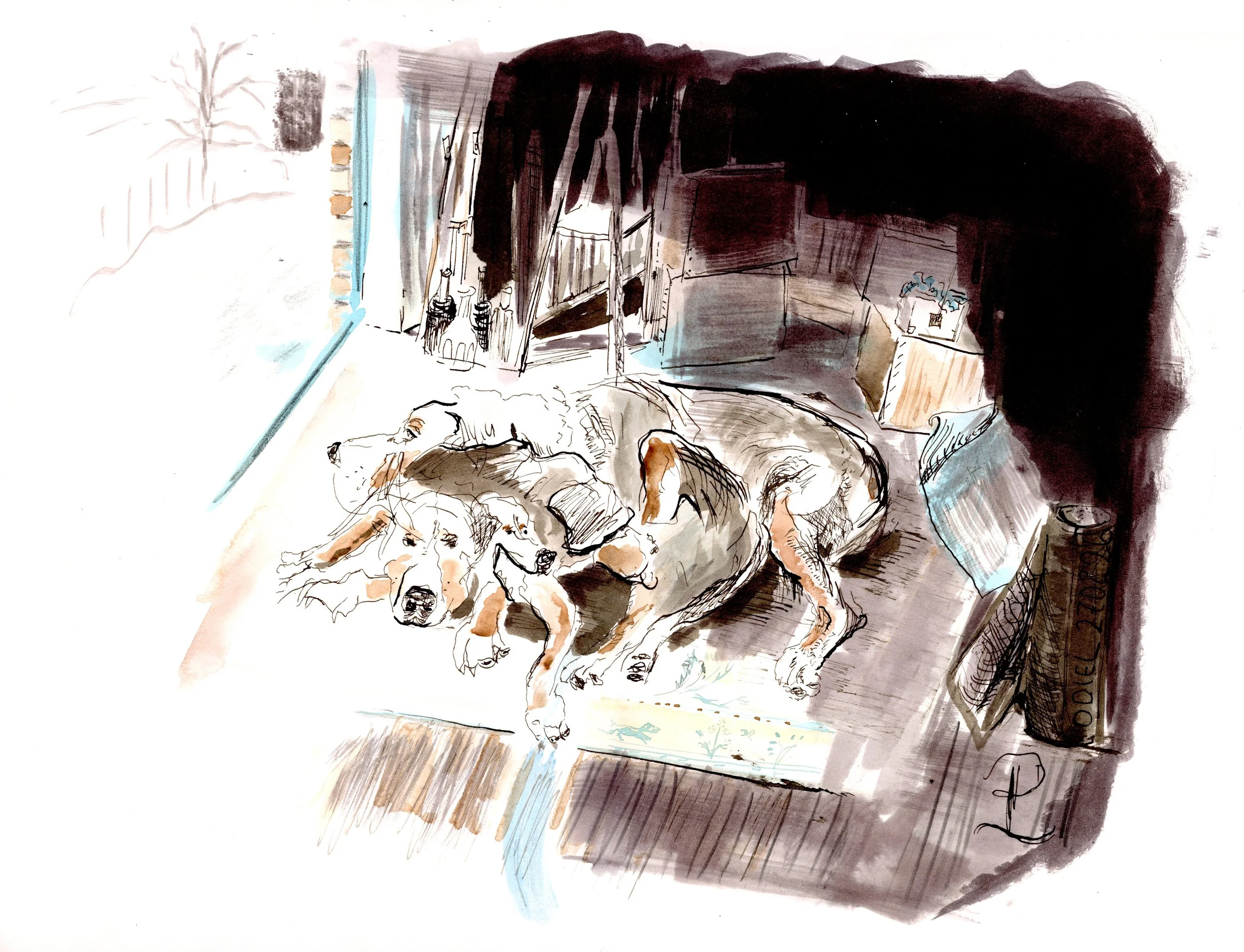 PIeter Lefevere - odiel rip.jpg