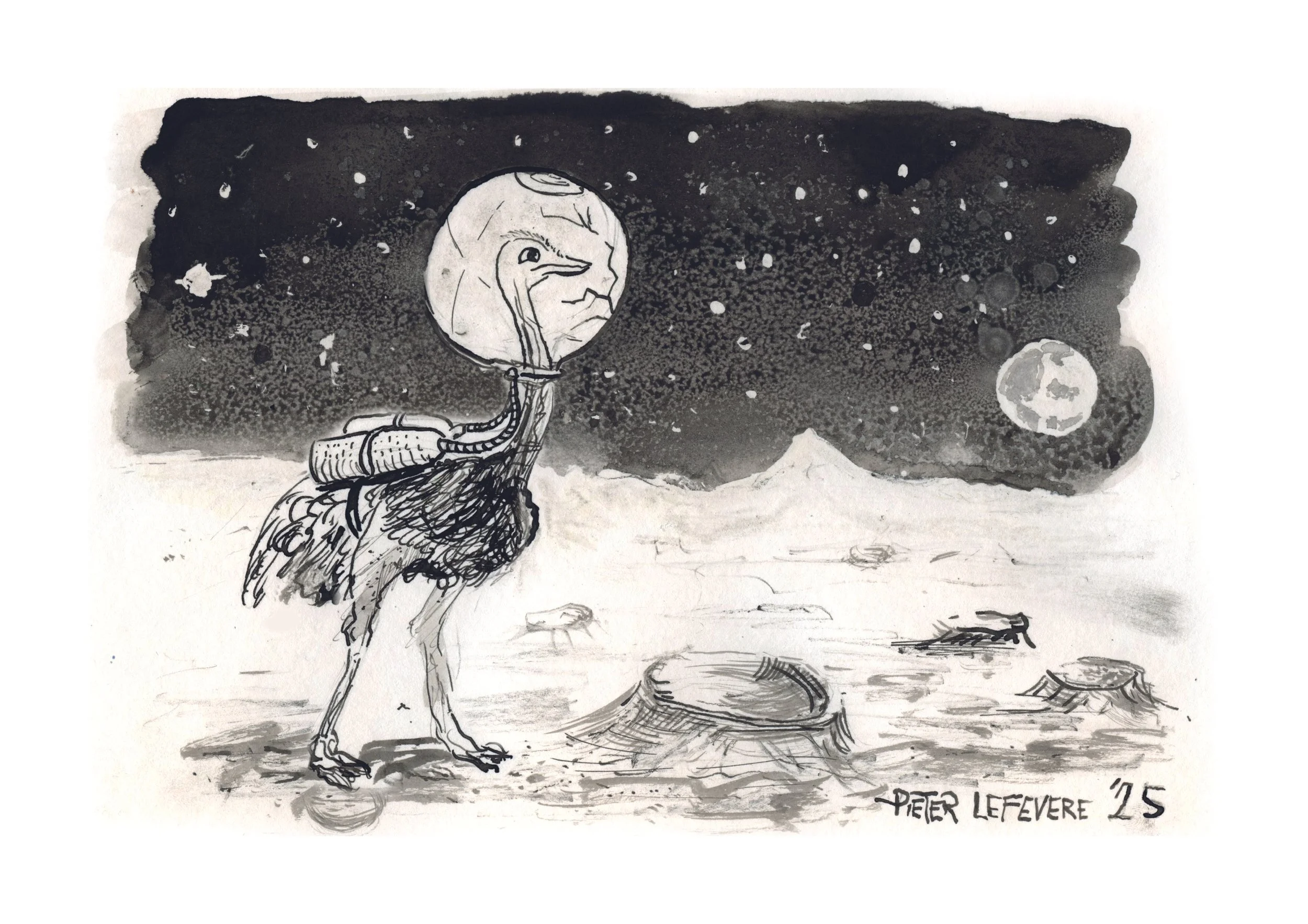 Pieter Lefevere - Knokke Cartoonfestival 2026 - 1 - struisvogel kraters.jpg