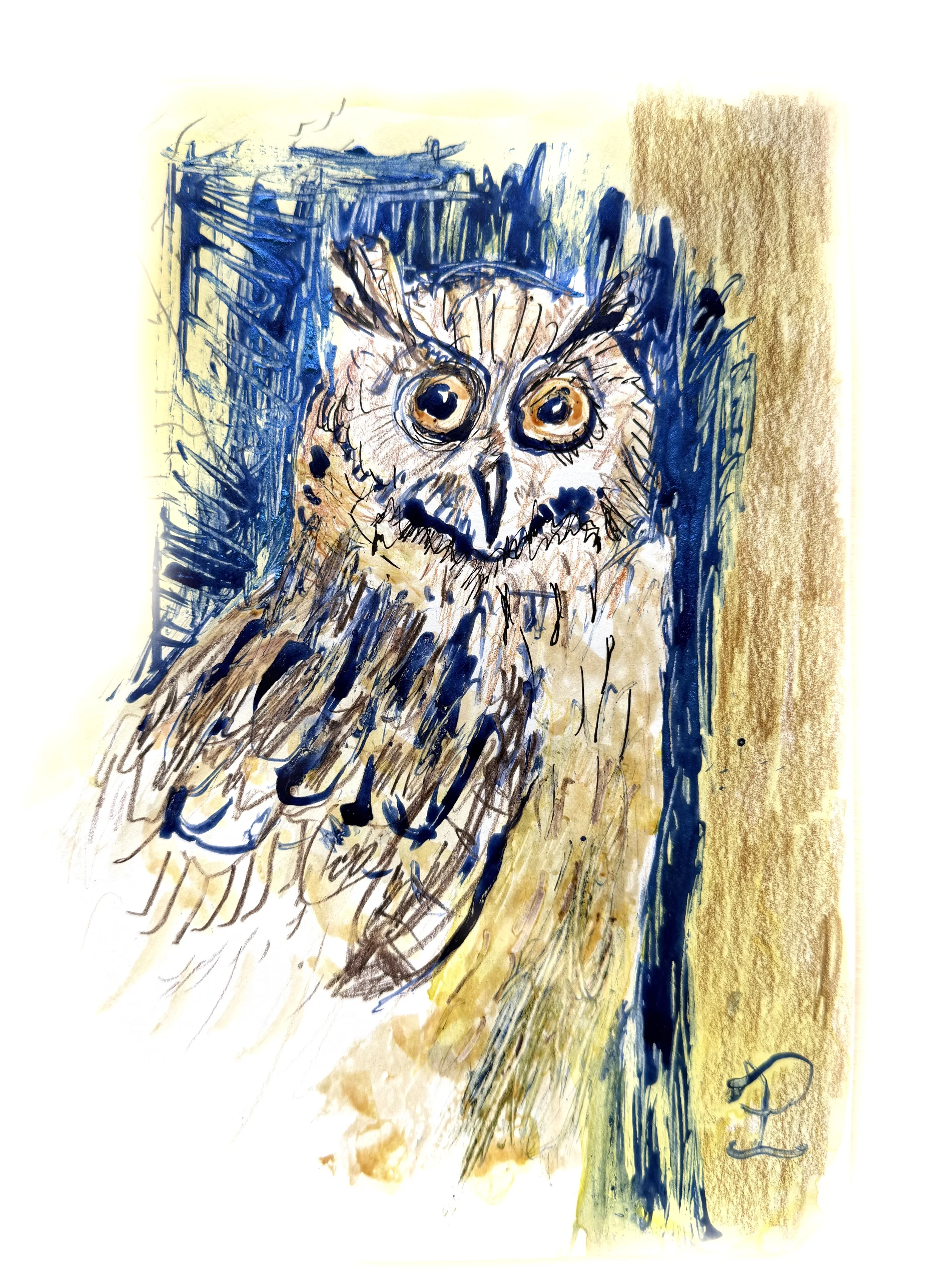 Pieter Lefevere - owl 2026.jpg