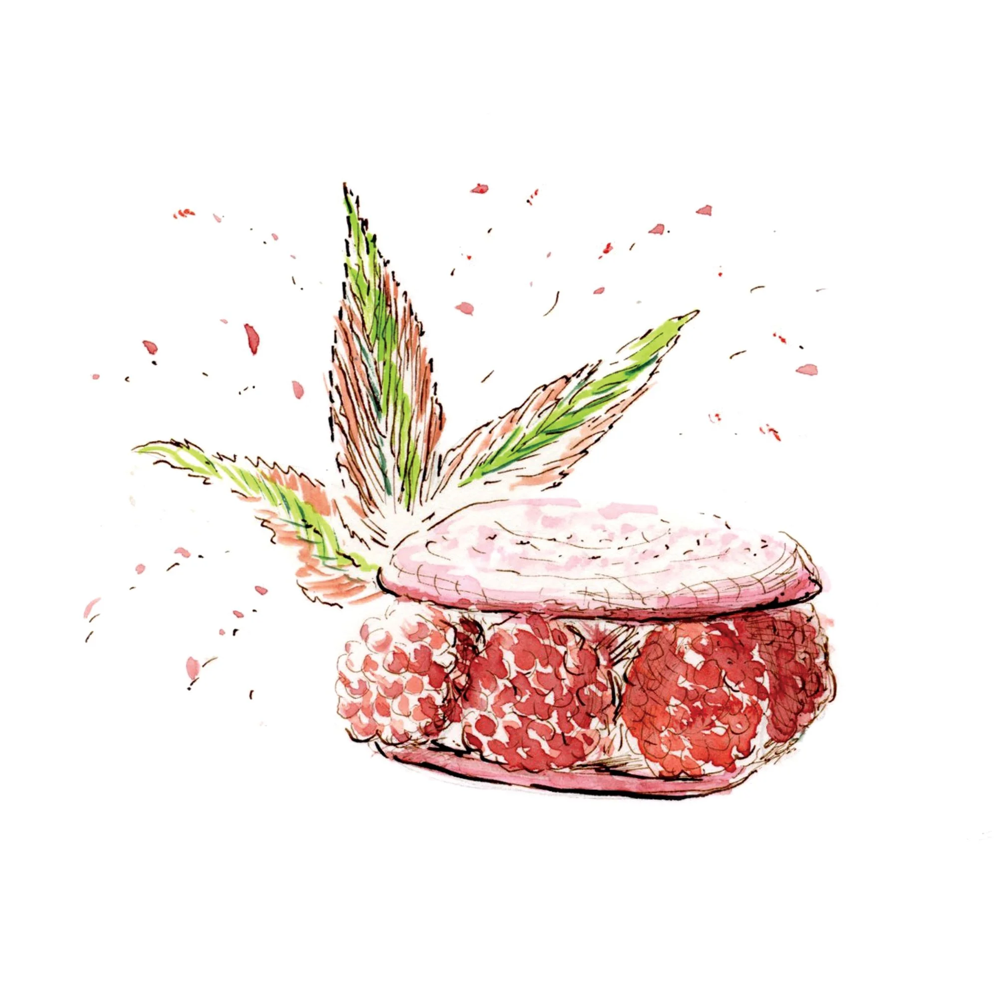 Hand-drawn illustration of a red raspberry with green leaves.