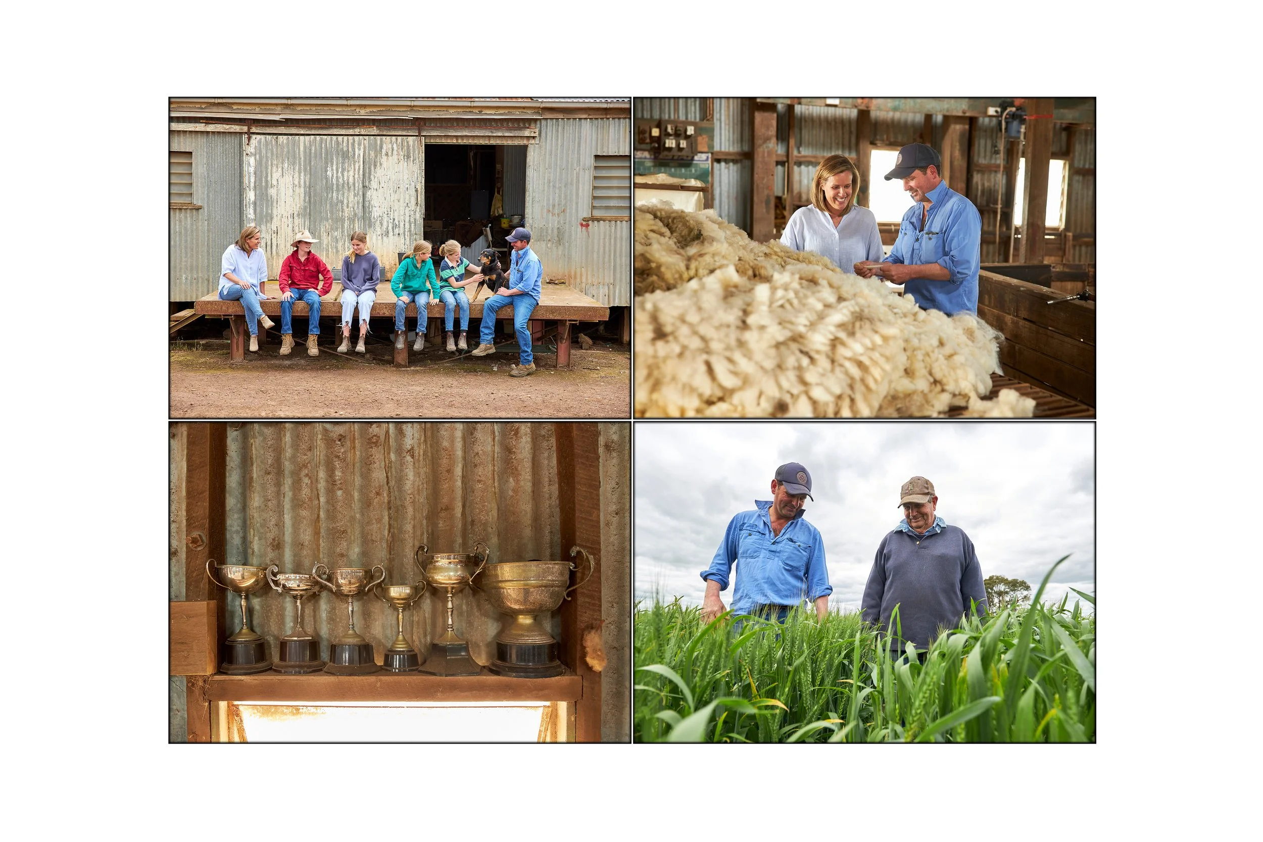 This image shows a wheat Farmer and his family assessing the wheat and wool on their property in Victoria Australia photographed by Steen Vestergaard. wheat, Crop, wool, landscape photographer, landscape photography, food production, primary producer