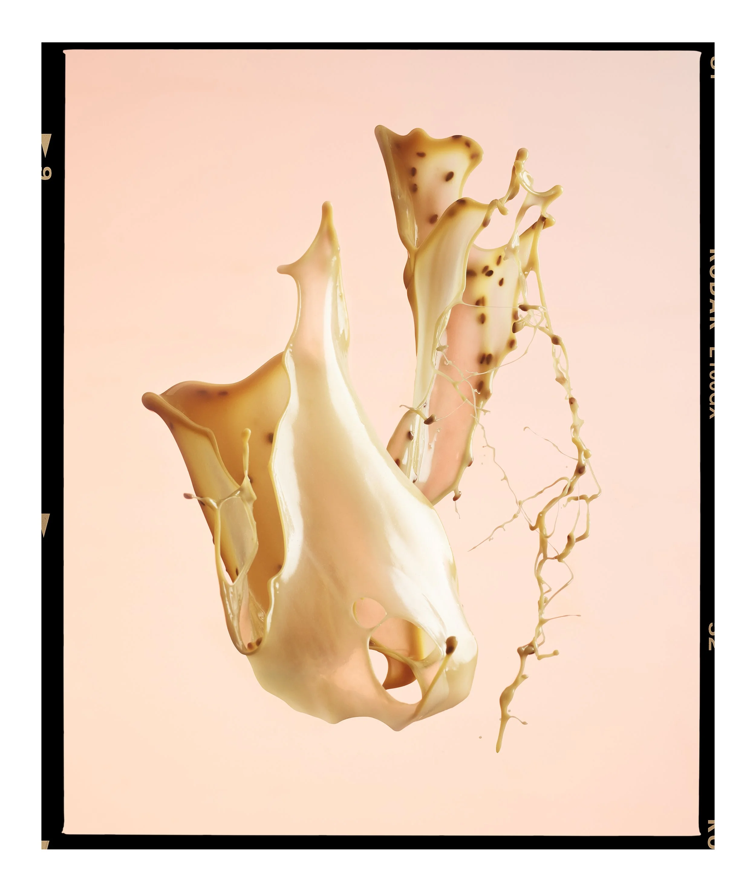 This image shows a food ingredient photographed by Steen Vestergaard. still-life photography, product photography, still life photographer, food photography, cosmetic photographer, splash photography, high speed photography, content photography, webs