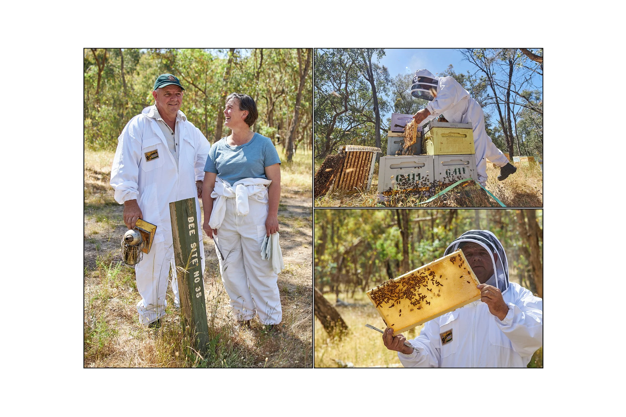 This image shows a beekeeper and his wife assessing the bees on their property in Beechworth Victoria Australia photographed by Steen Vestergaard.  Bees, Apiarist, Honey, landscape photographer, landscape photography, food production, primary produce