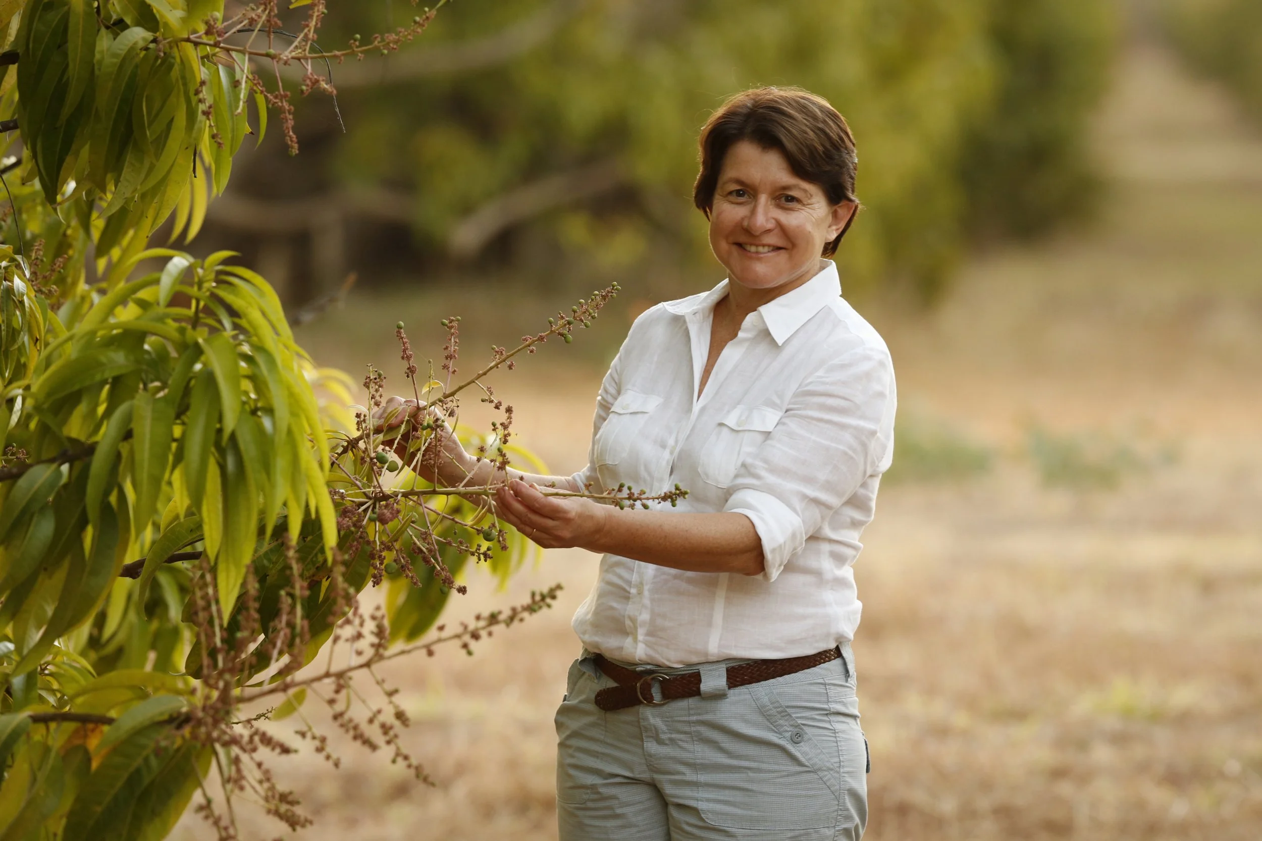 This image shows a Mango Farmer assessing the fruit on her property in Katherine Northern Territory  Australia photographed by Steen Vestergaard.  landscape photographer, landscape photography, food production, primary producer, farm photography, far