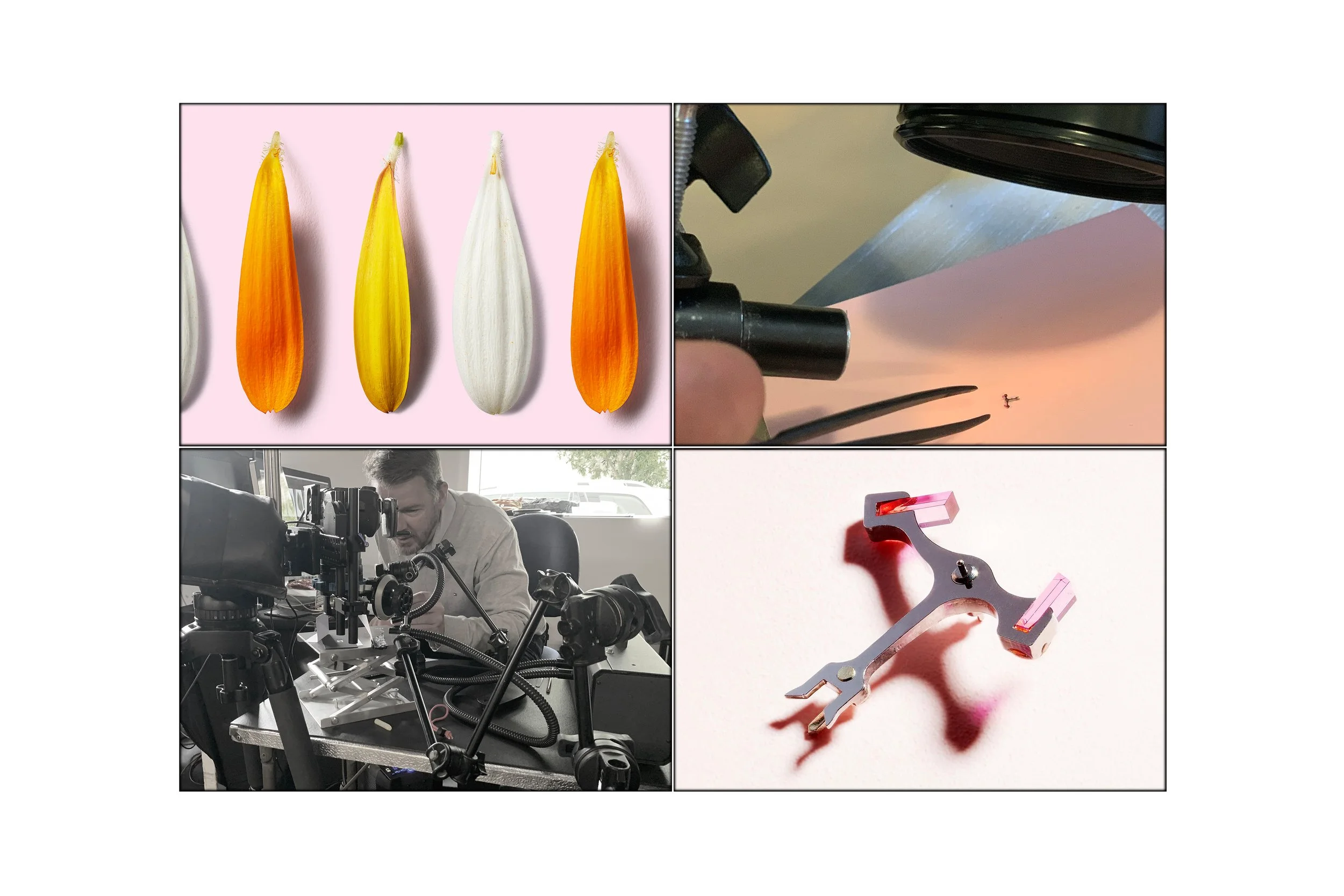 This image shows tiny objects photographed by Steen Vestergaard. still-life photography, product photography, still life photographer, food photography, beverage photographer, liquid photographer, macro photography, ultra macro photography, content p