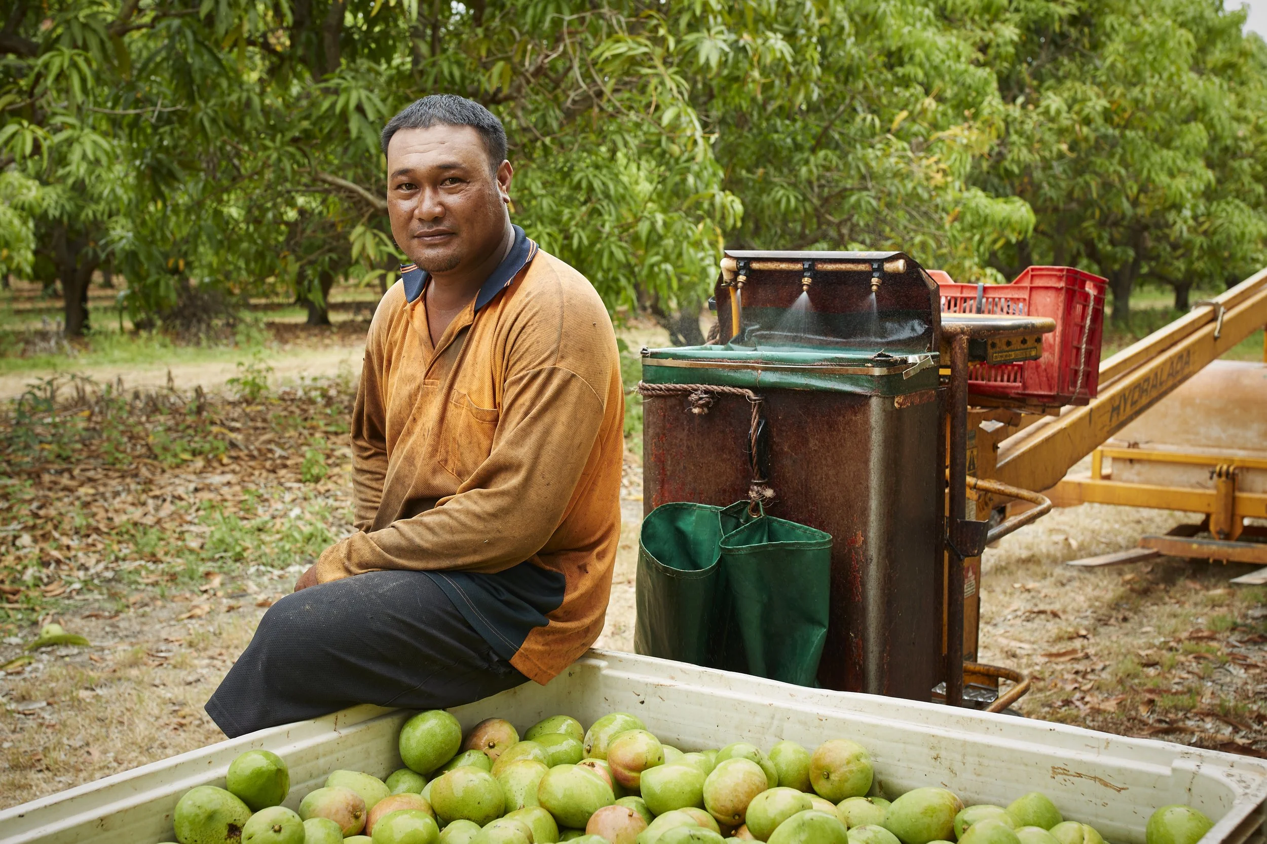This image shows a Mango Picker resting on his property in Katherine Northern Territory  Australia photographed by Steen Vestergaard.  landscape photographer, landscape photography, food production, primary producer, farm photography, farmer photogra