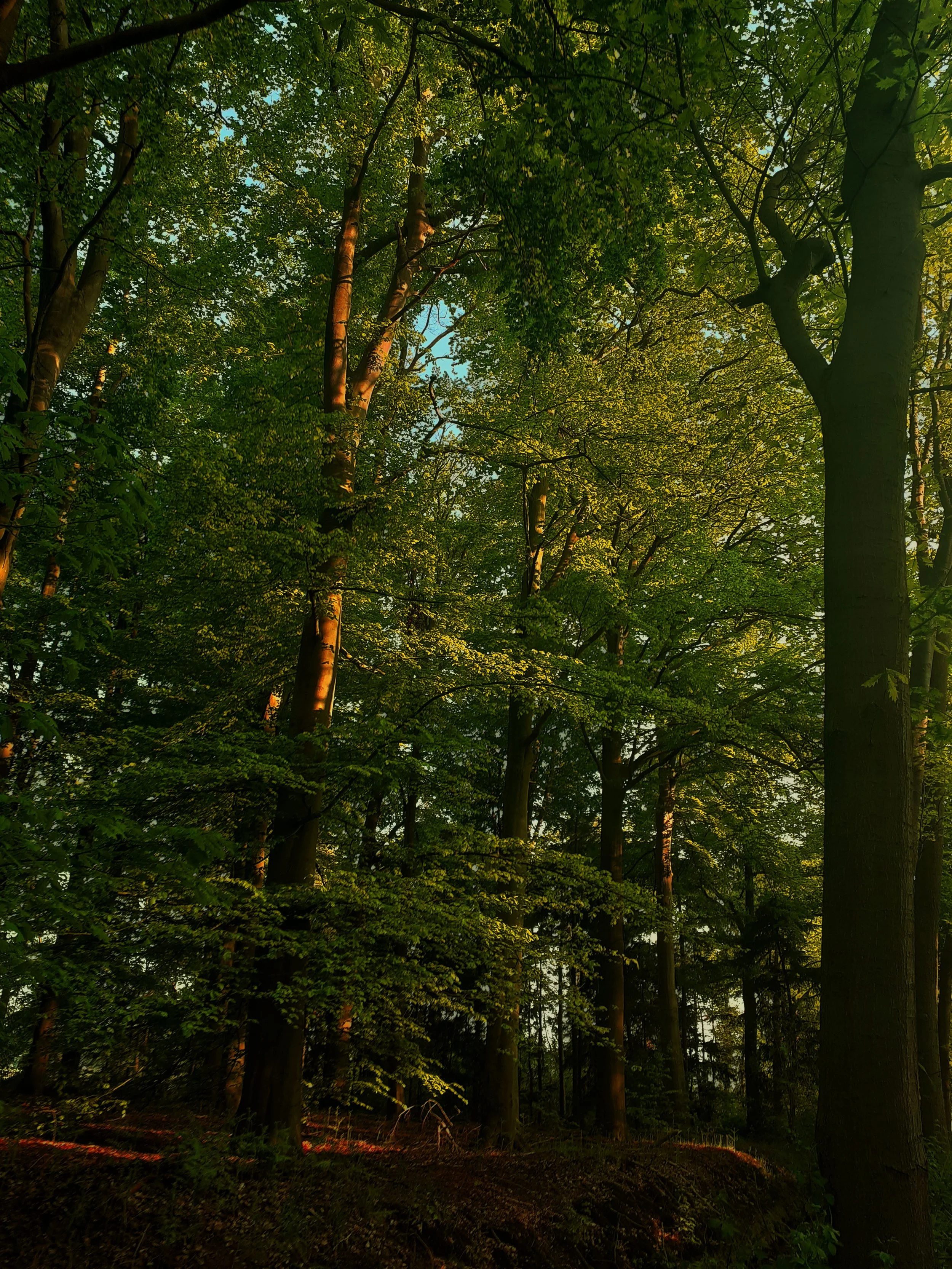 foto 5.1.jpg