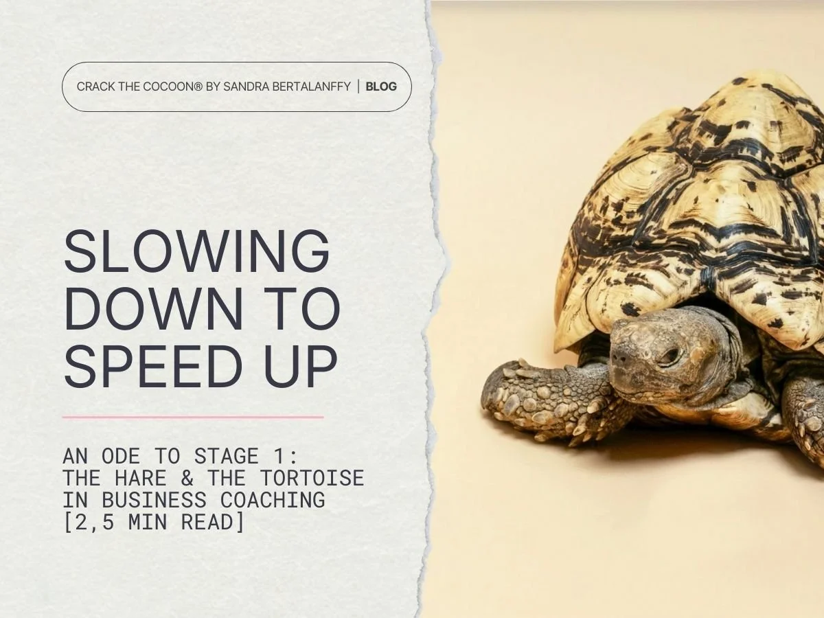 Slowing Down to Speed Up