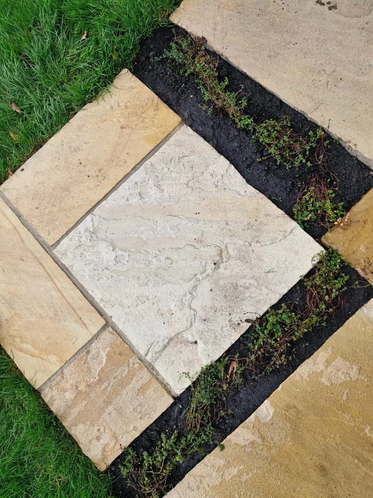 Close-up view of a sidewalk with rectangular stone tiles, some of which have small plants growing in the cracks, bordered by a strip of dark soil with more small plants, and grass on the side.