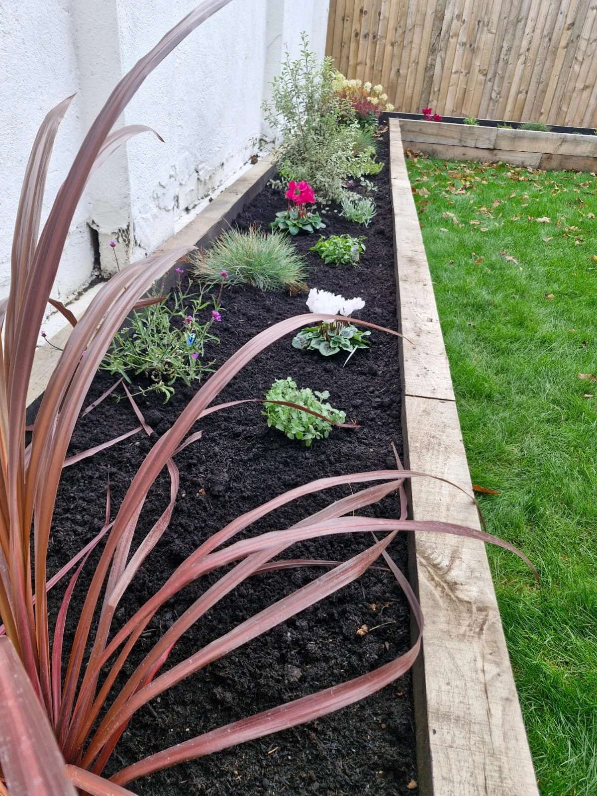 A wooden garden bed with various small plants and flowers, with a lush green lawn to the right and a wooden fence in the background.