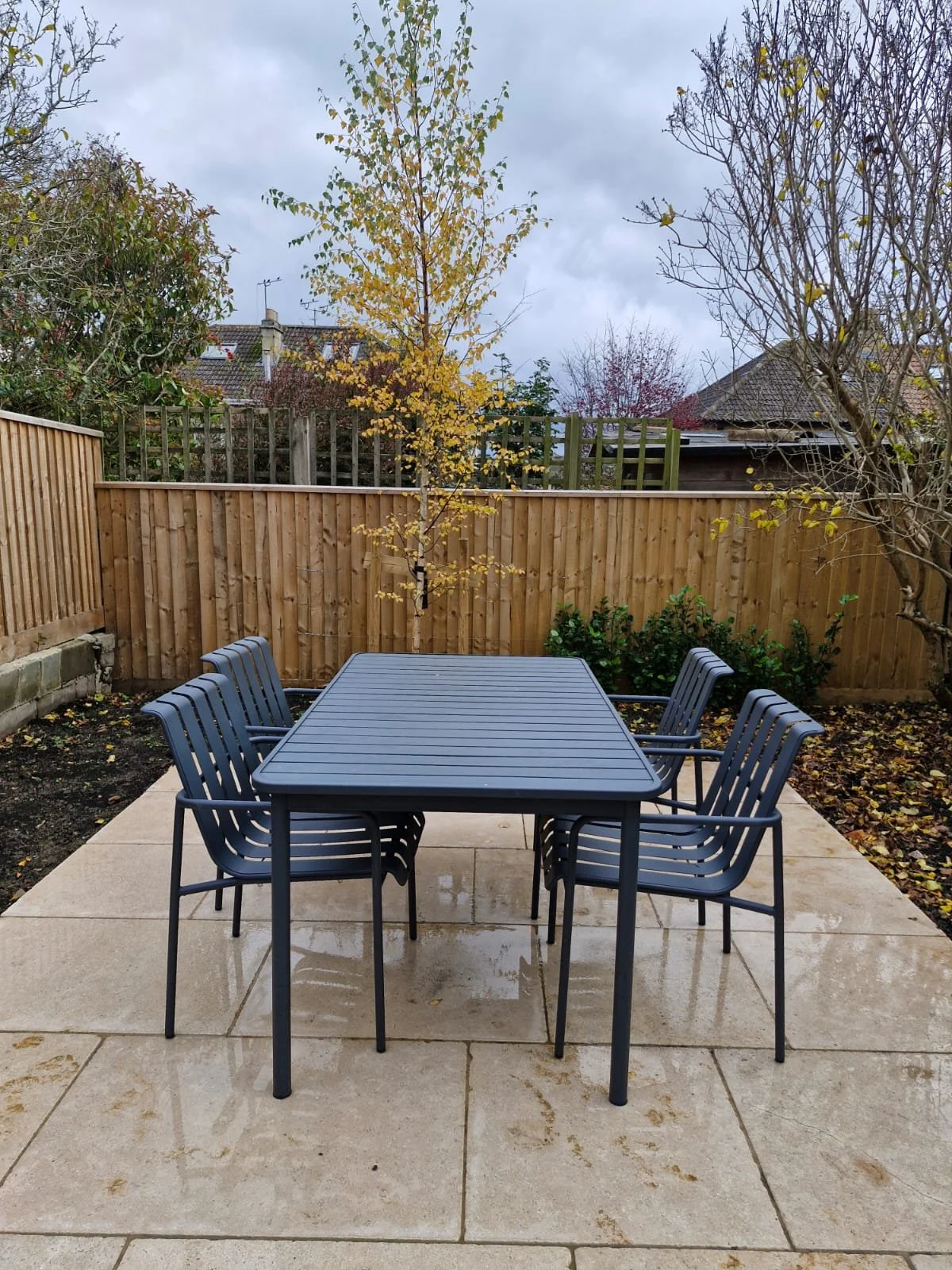 A backyard patio with a black dining table and six matching chairs, surrounded by a wooden fence, with trees, shrubs, and overcast sky in the background.