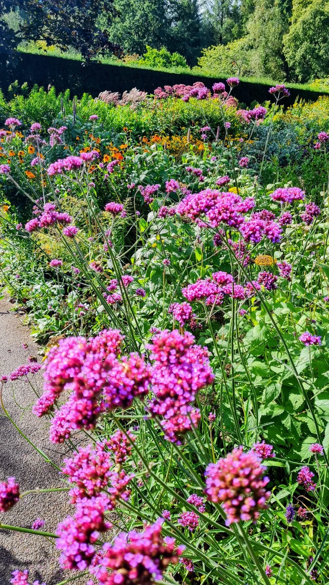 planting scheme bristol