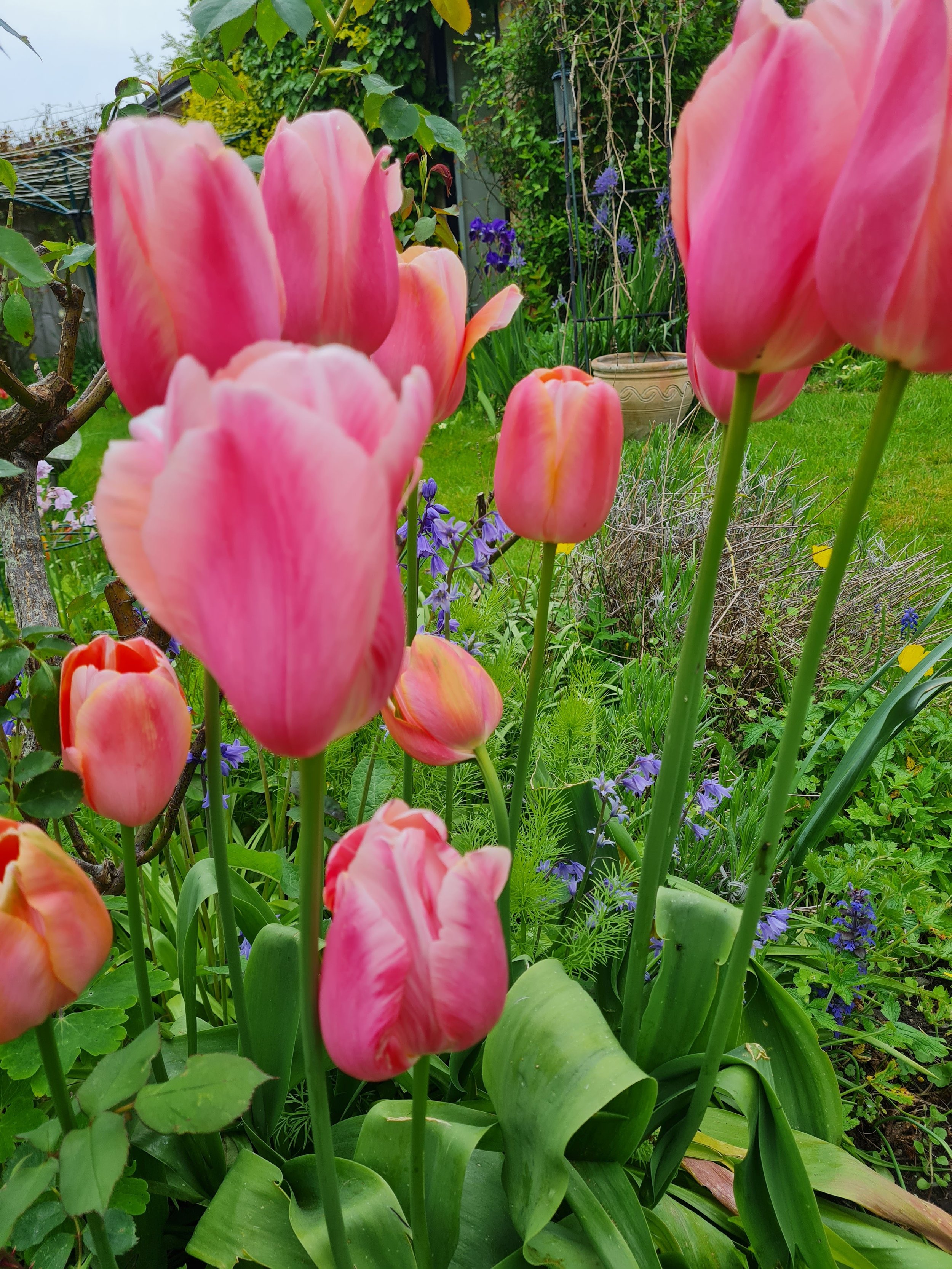 garden design and landscaping bath