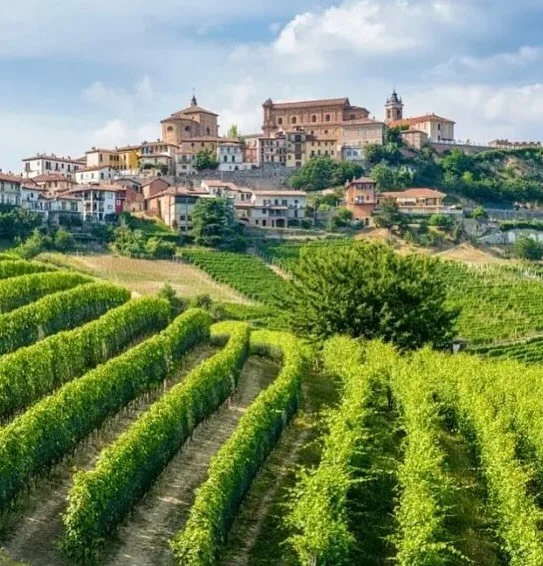 Vi har simpelthen en nyhed mere i &aelig;rmet 🤭

Den 30. Oktober kl 18.30 f&aring;r vi bes&oslash;g af VIBERTI til en eksklusiv piemonte-aften. 

Claudio, der repr&aelig;senterer den tredje generation af huset, medbringer noget af det bedste fra omr