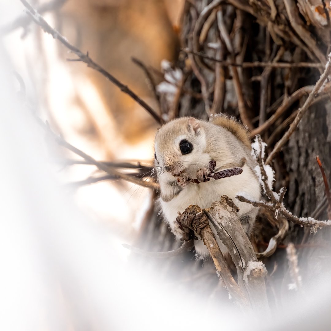 DSC_1105-Edit.jpg