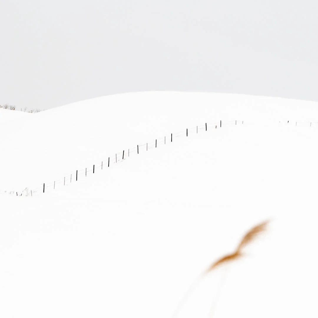 Boundary.jpg