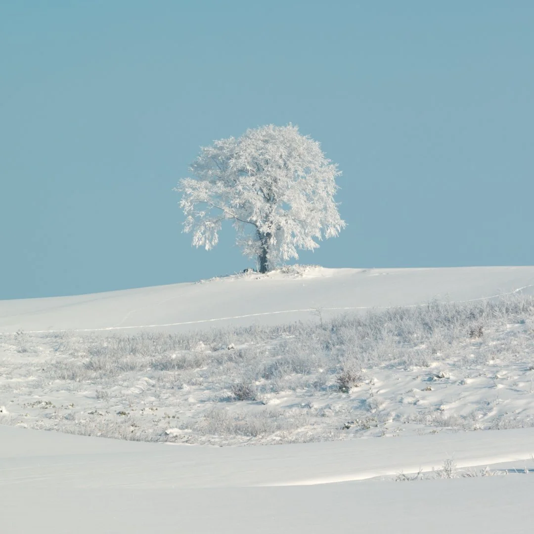 DSC_1633-Edit.jpg