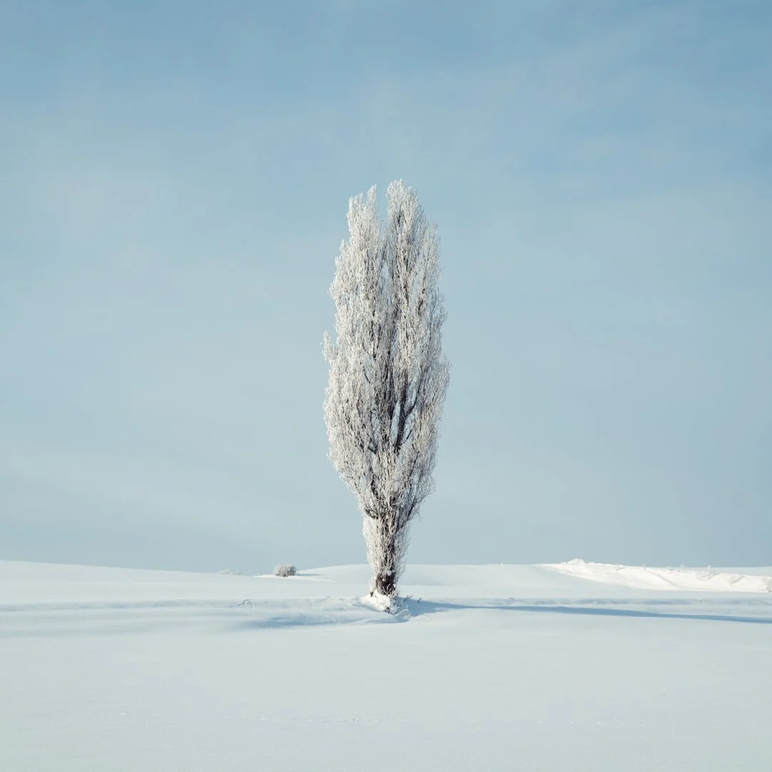 DSC_0874-Edit.jpg