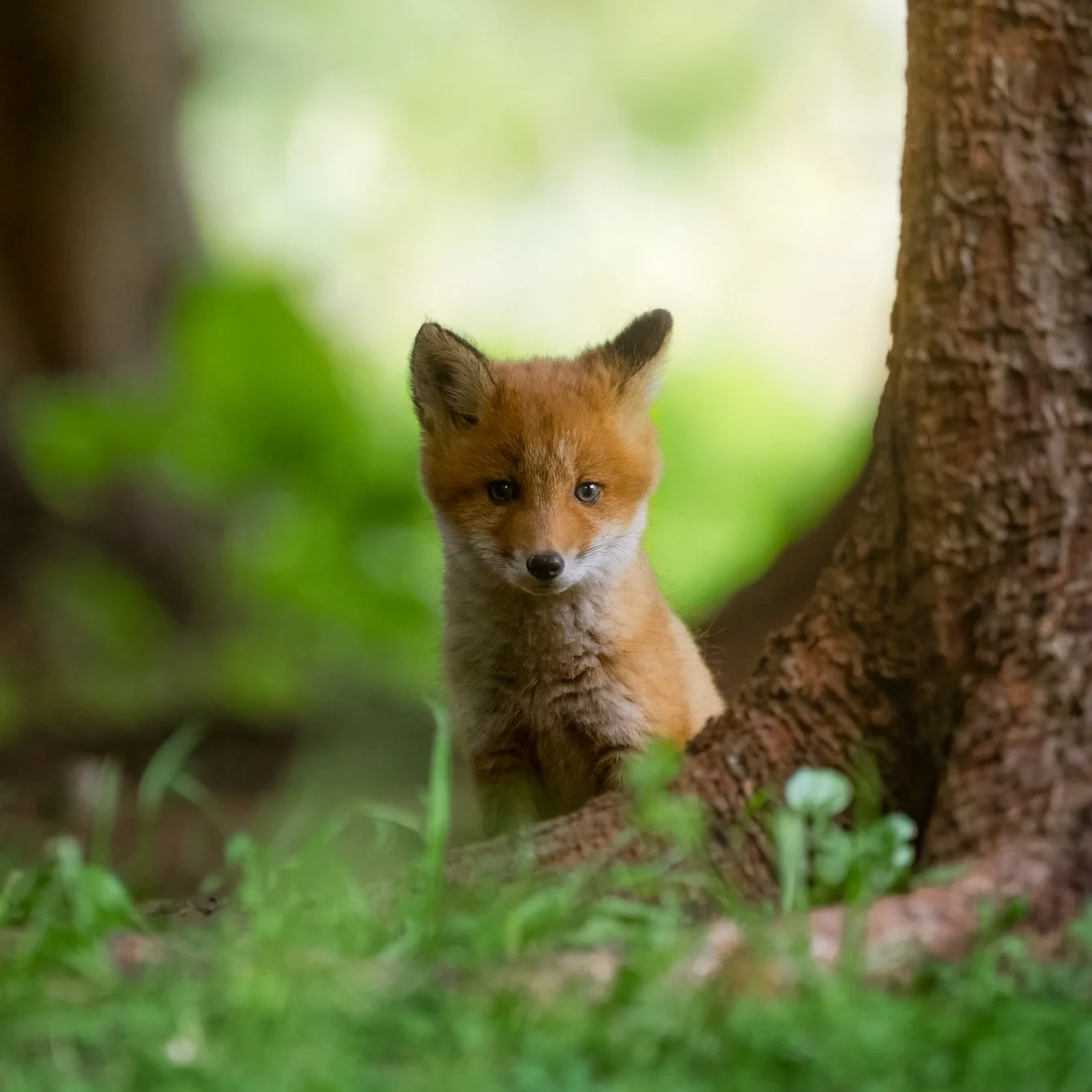 DSC_4299-Edit.jpg