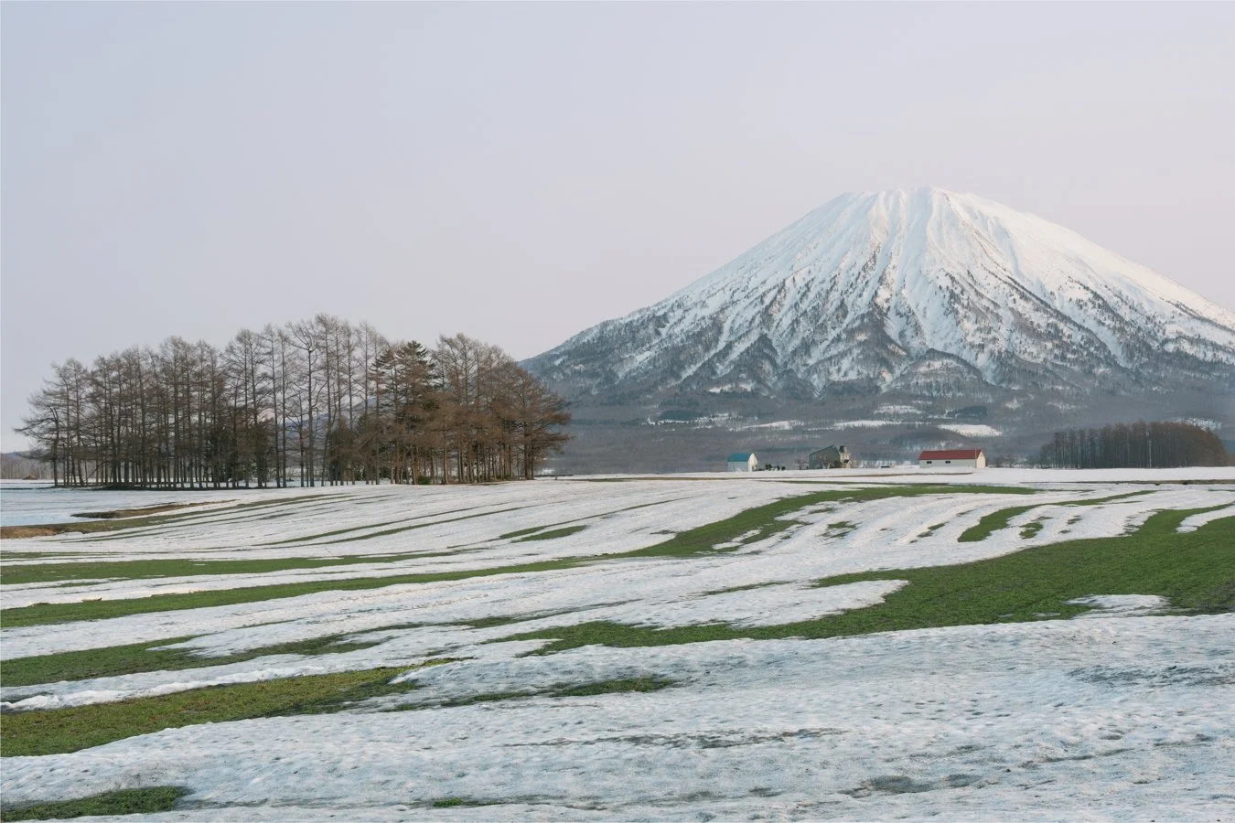 DSC_3986-Edit-2.jpg