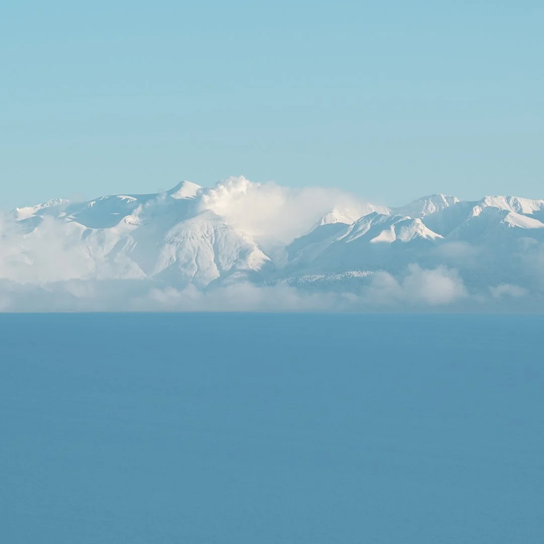 DSC_4422-Edit-2.jpg