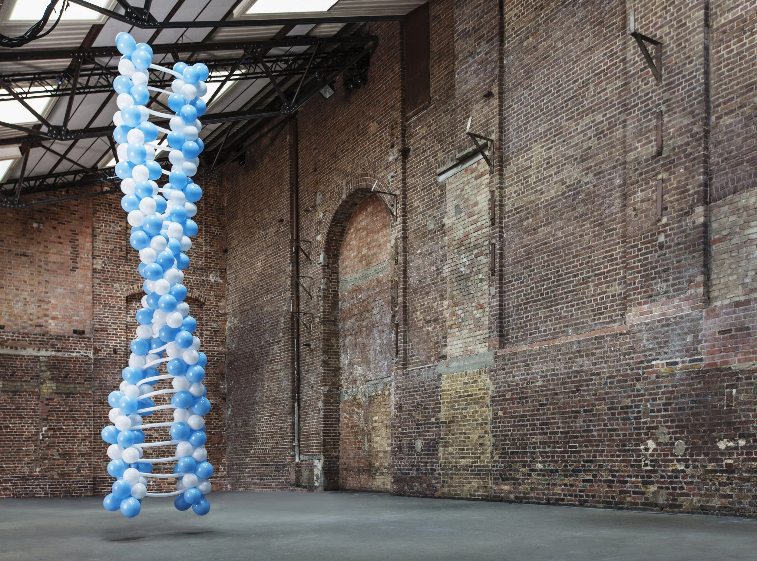 1. Boehringer balloon dna Untitled Session0161 1 2.jpg