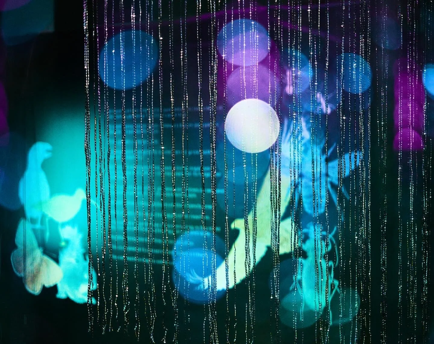 5440A272-1CB7-40AC-8F26-02F700119A77 2.JPG