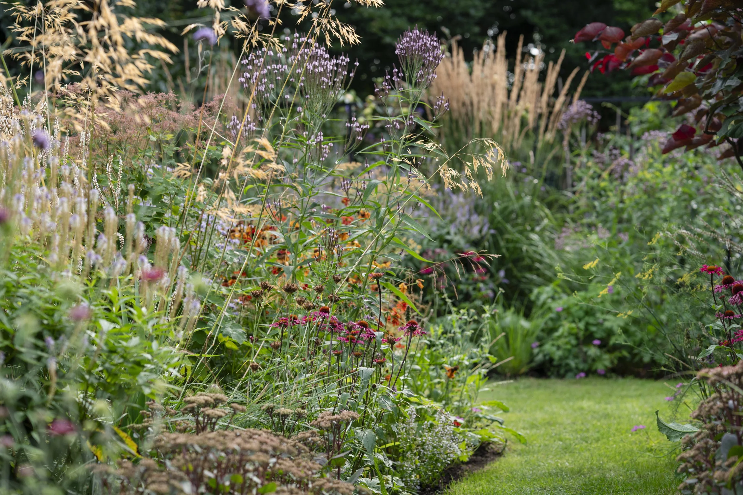 lulu_roper_caldbeck_home_garden-350.jpg