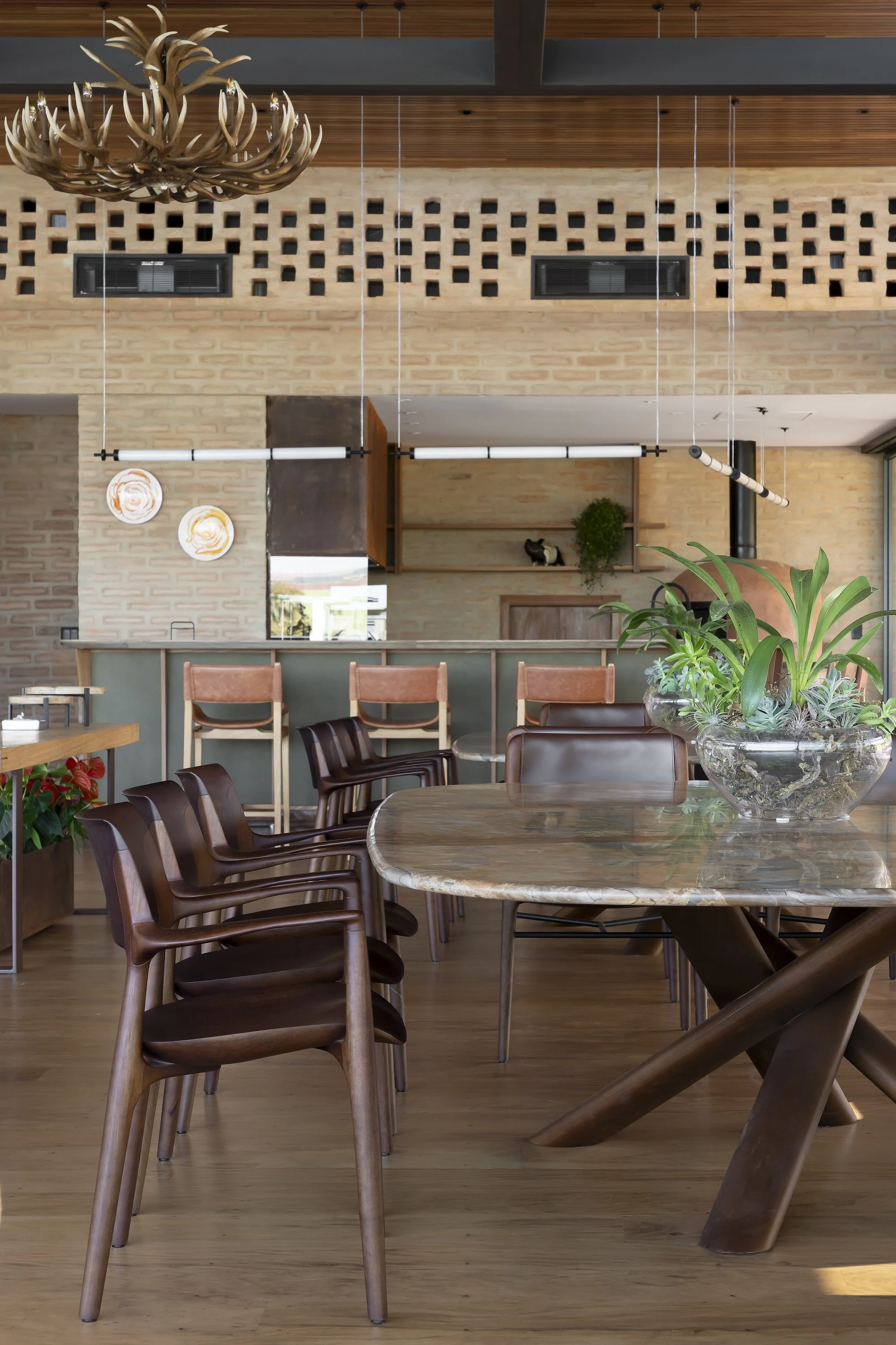 150923_CACAU-HARAS AROEIRA_49.jpg