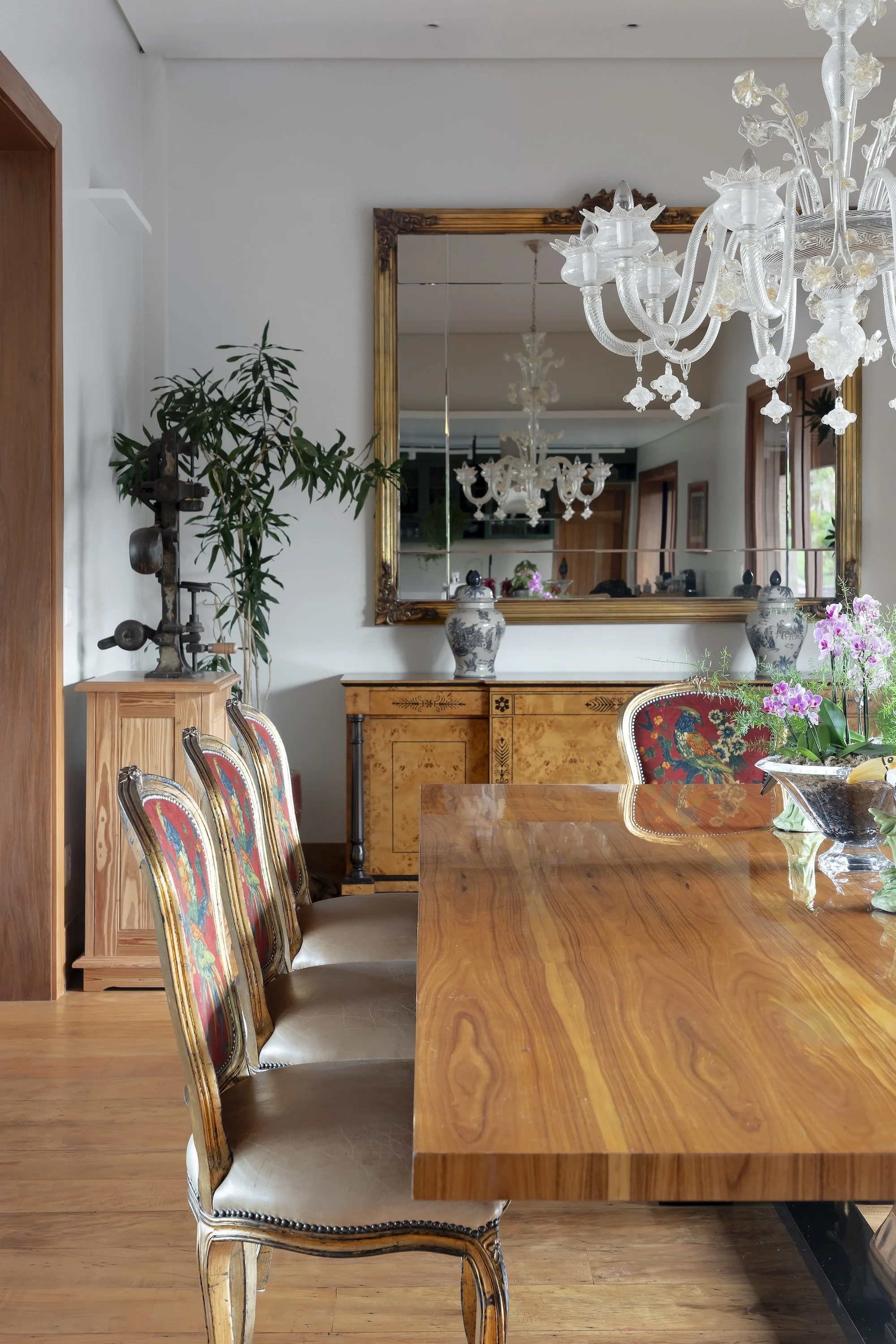 150923_CACAU-HARAS AROEIRA_11.jpg