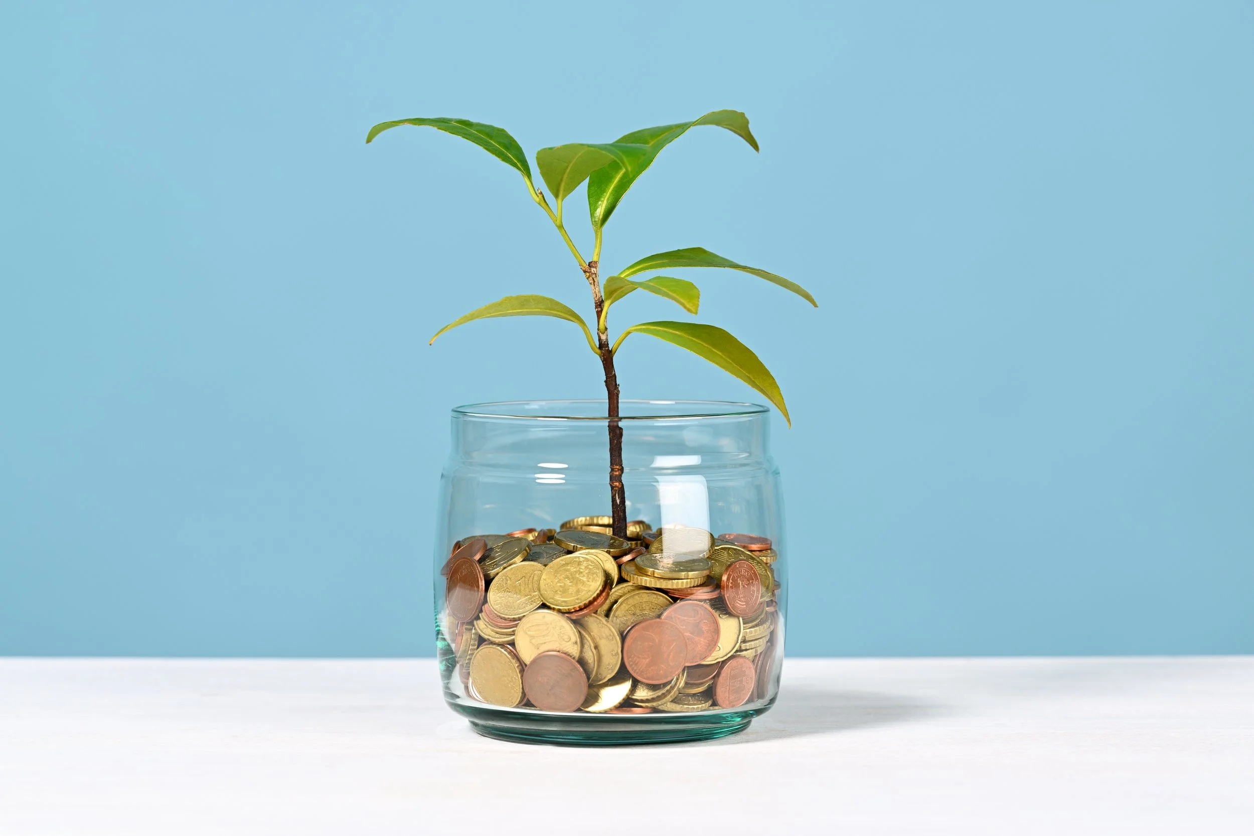 plant-growing-out-of-coin-jar-2026-03-25-06-56-37-utc.jpg