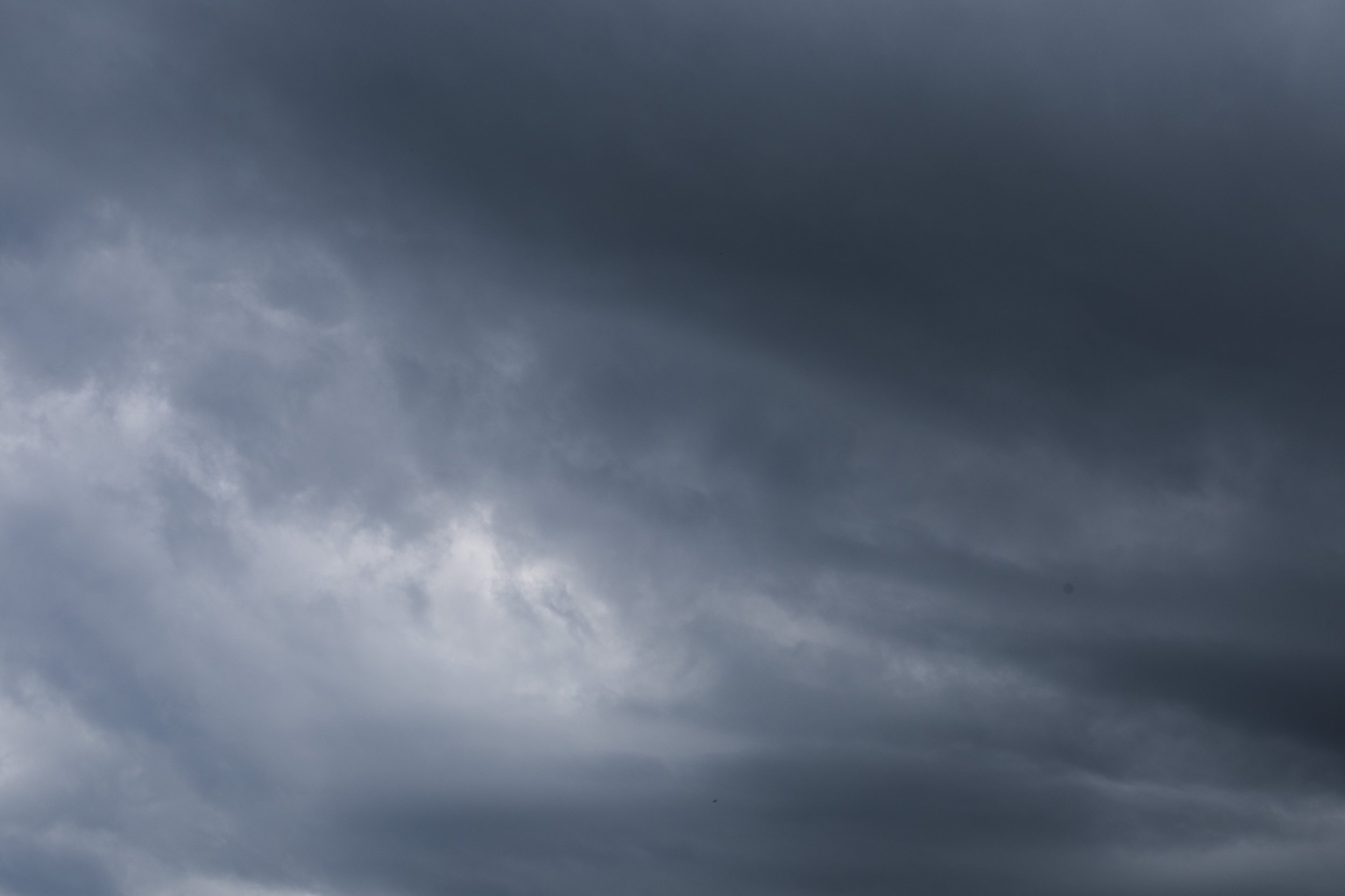 _MG_0104.jpg