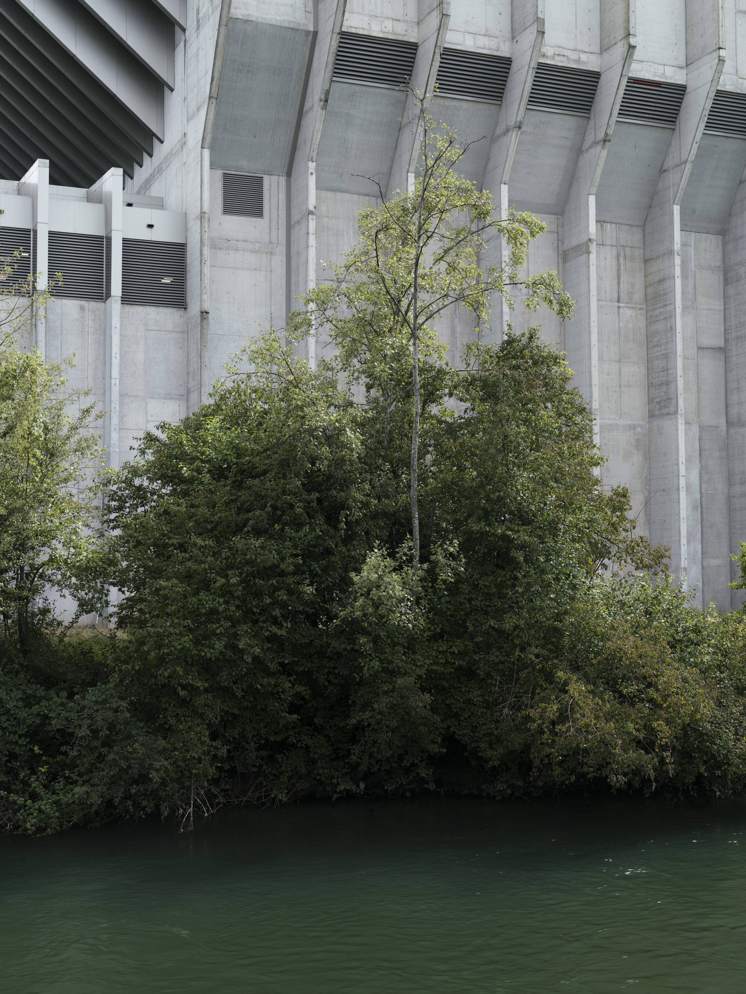Renergia Perlen für Hochparterre